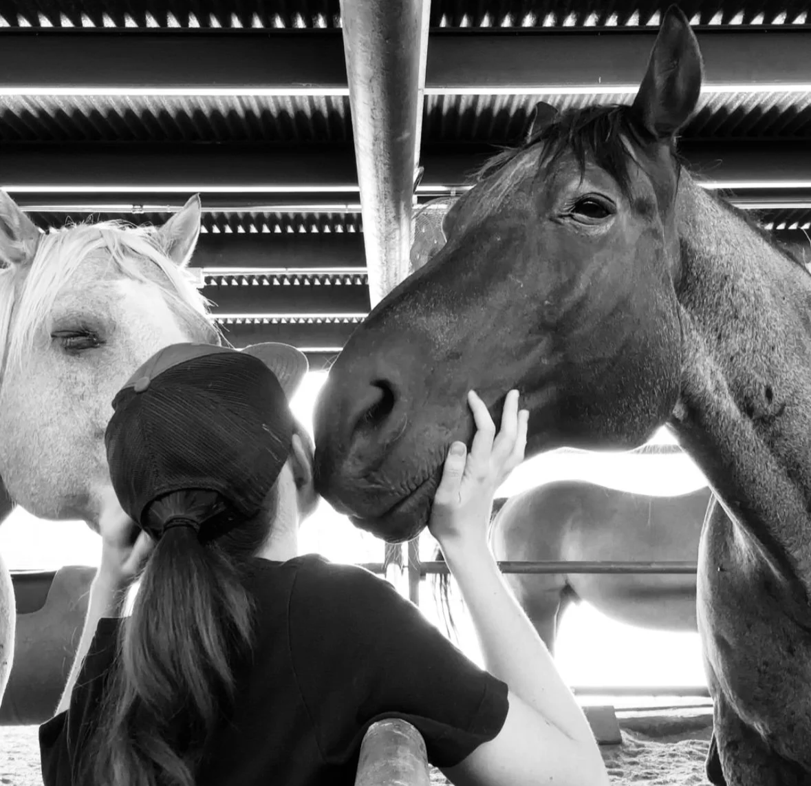 A woman with long hair and wearing a black cap touching the muzzle of a dark brown horse, while a white horse with closed eyes is nearby in a barn.