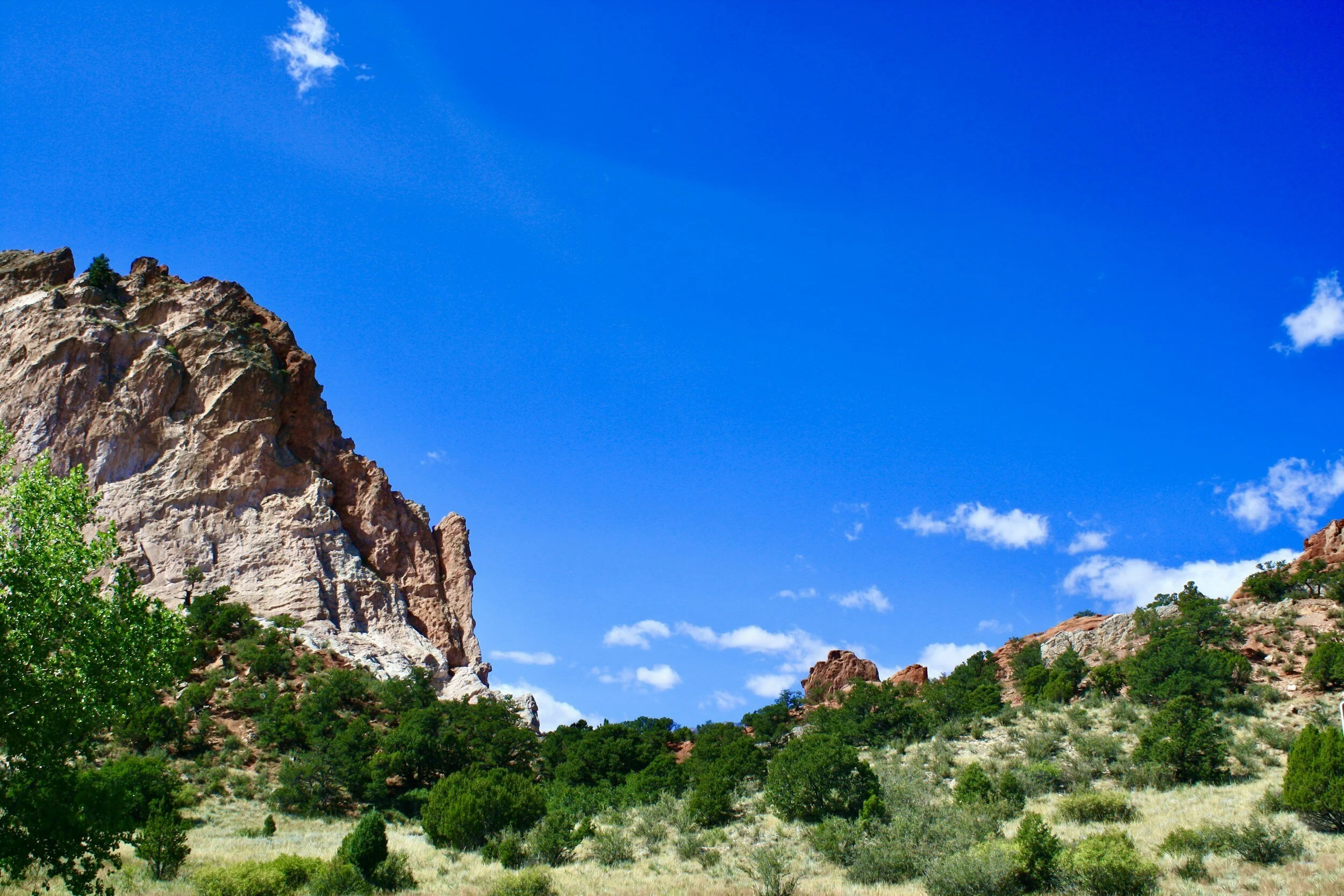 Committed to Goodness