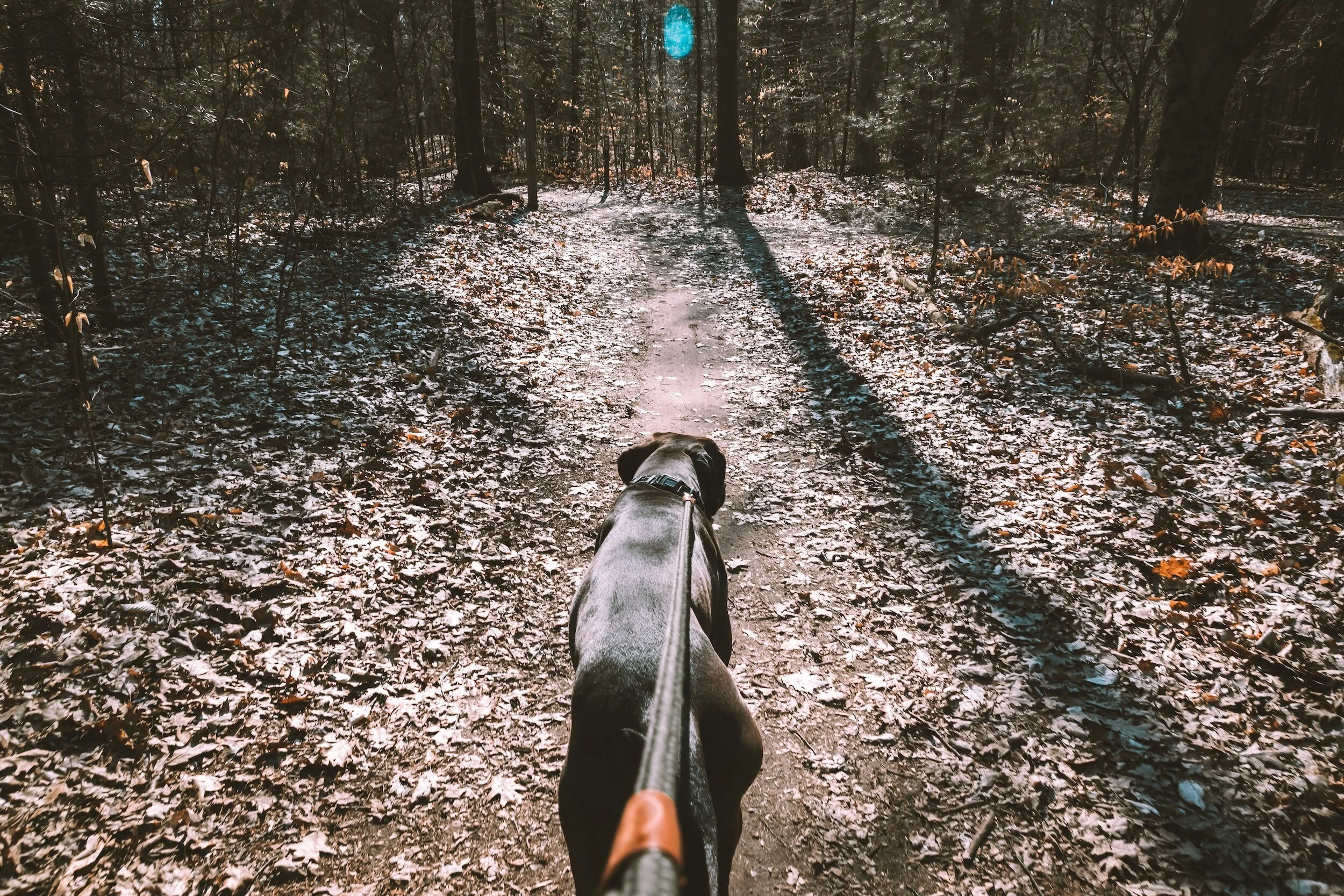 What If Good Stewardship Is About More Than How You Use Your Money?