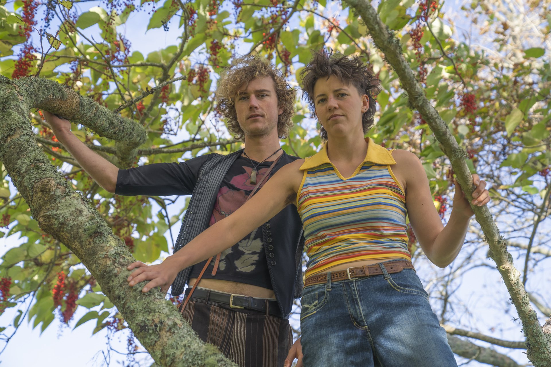 Bit The Pip up a tree