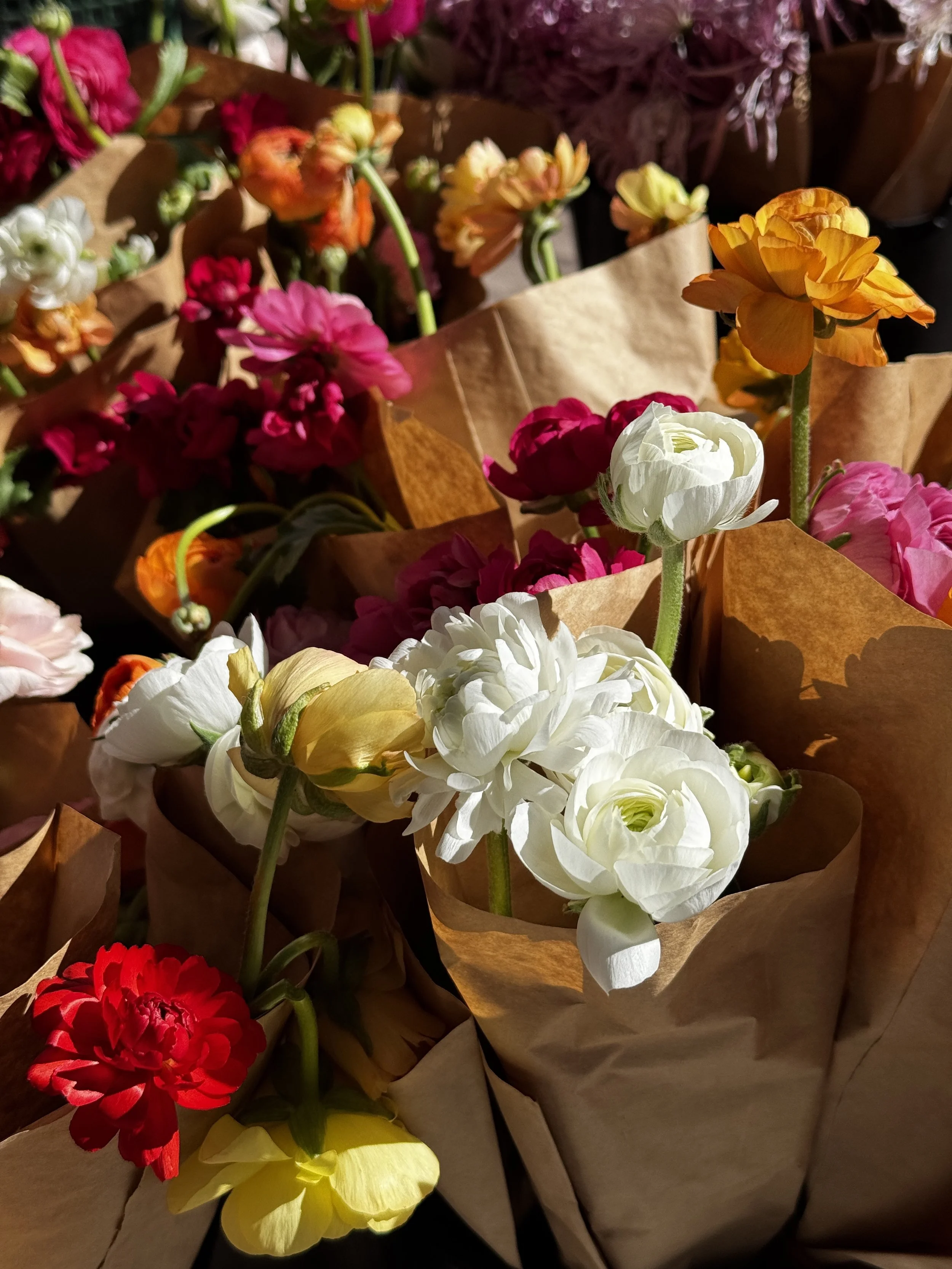12-Week Market Wrap Subscription