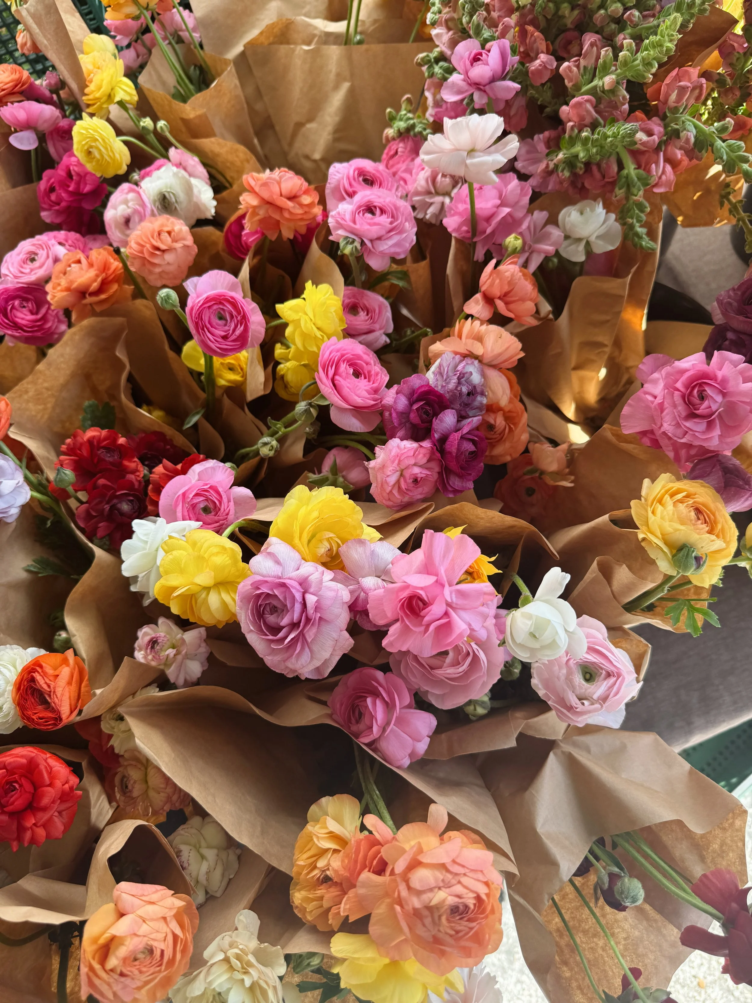 8-Week Market Wrap Subscription