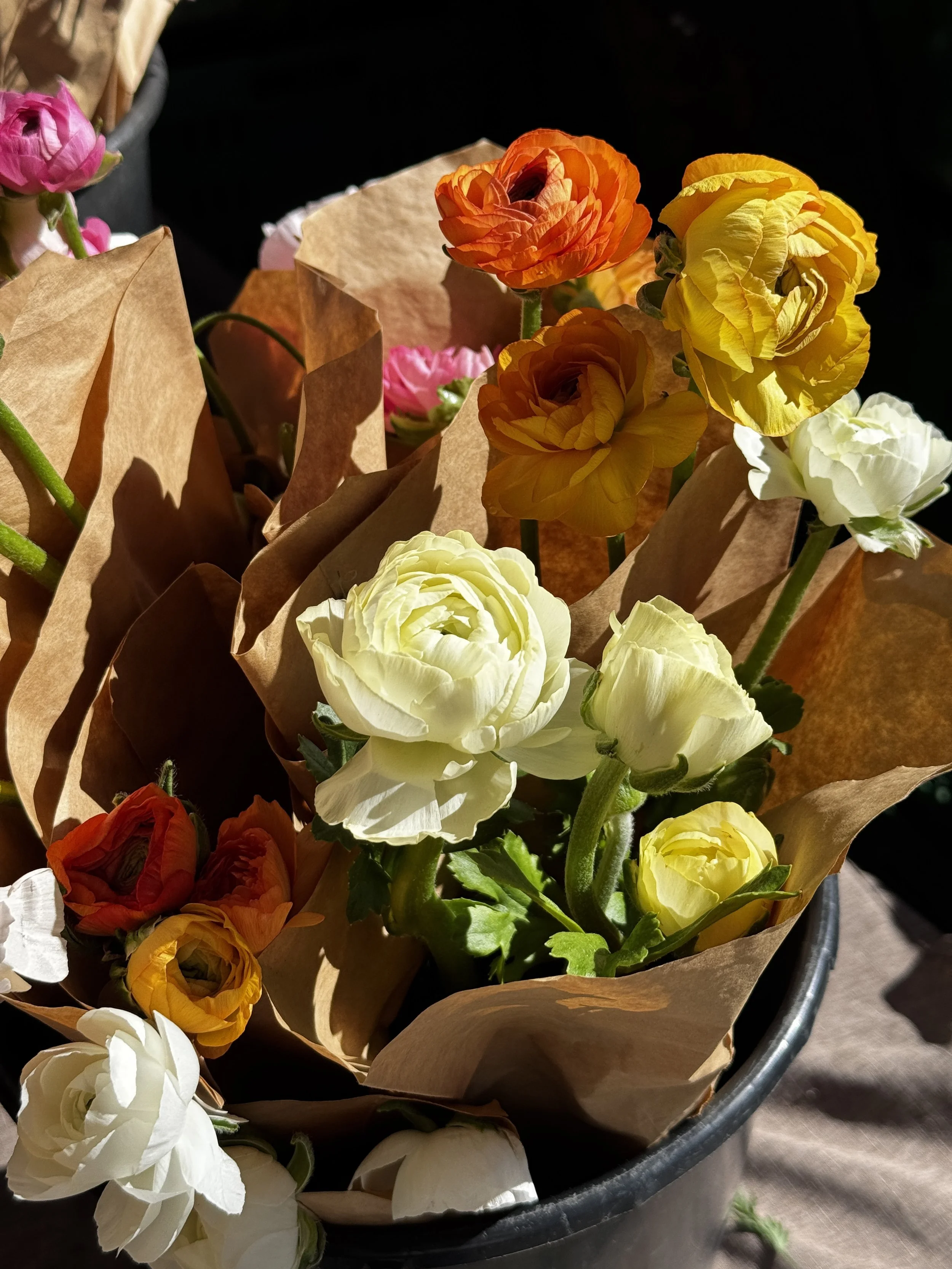 Market Wrap