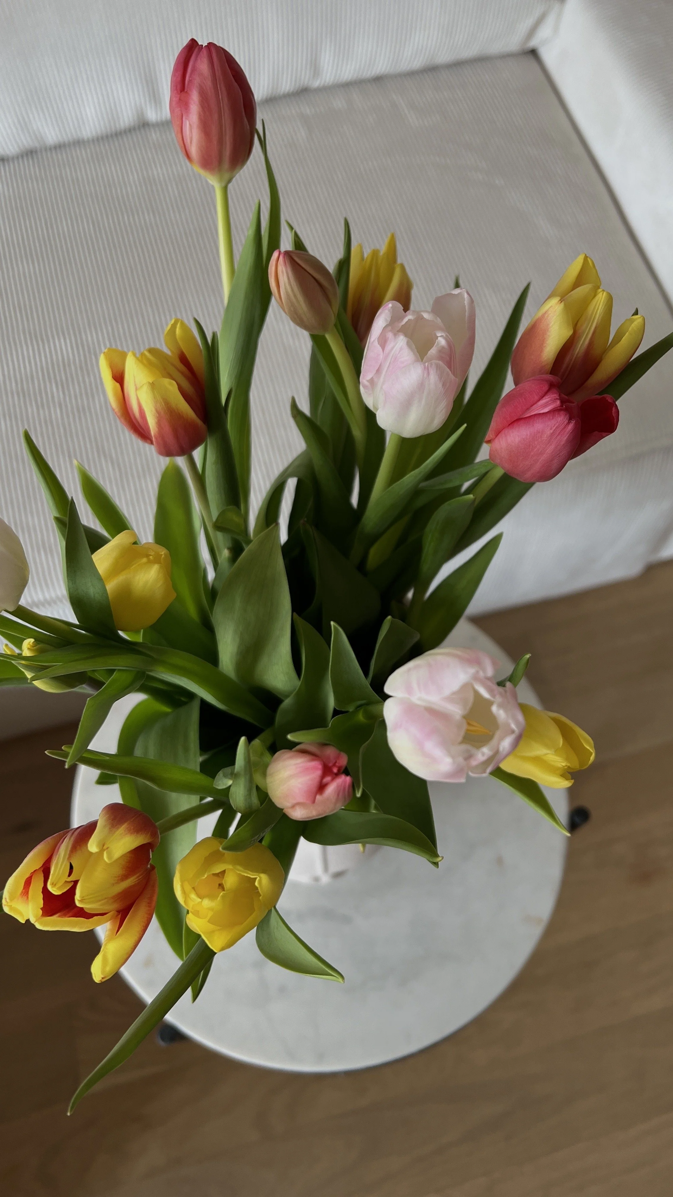 Spring Springin' Bouquet Subscription