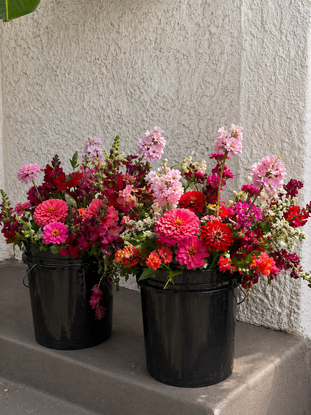 Bulk Bucket
