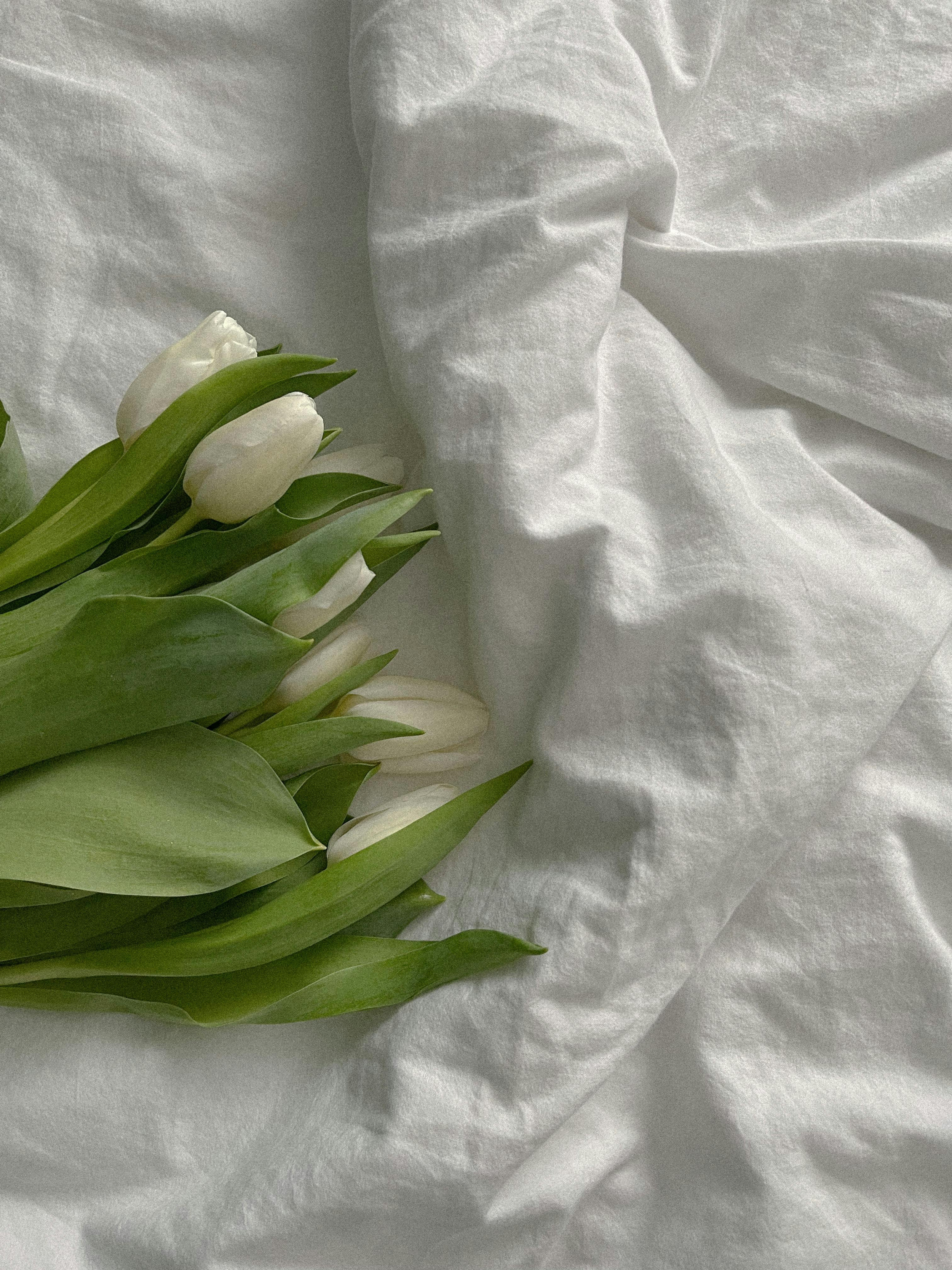 A cluster of white tulips with green leaves resting on white fabric.