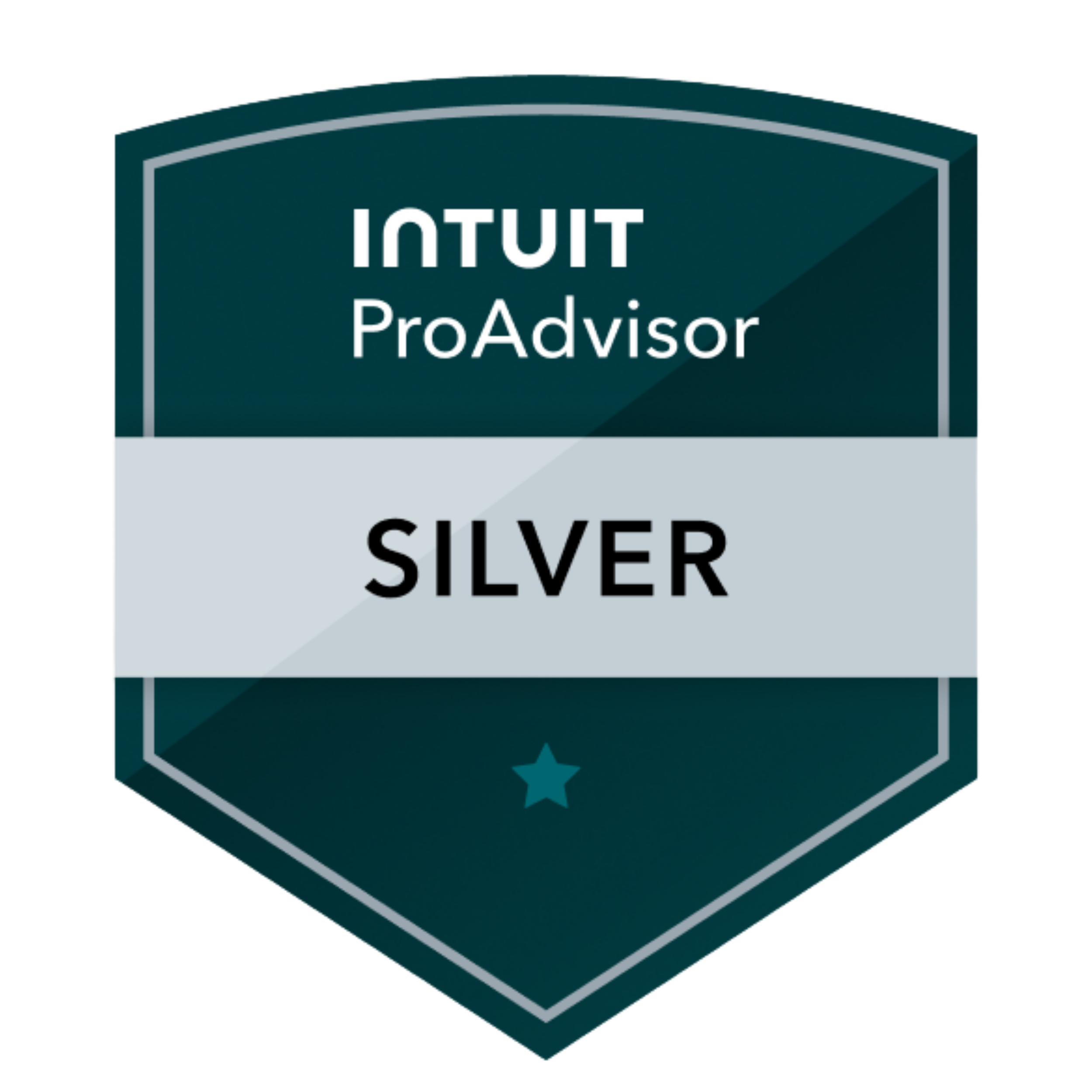 QuickBooks Online ProAdvisor certified bookkeeper providing professional QuickBooks bookkeeping services