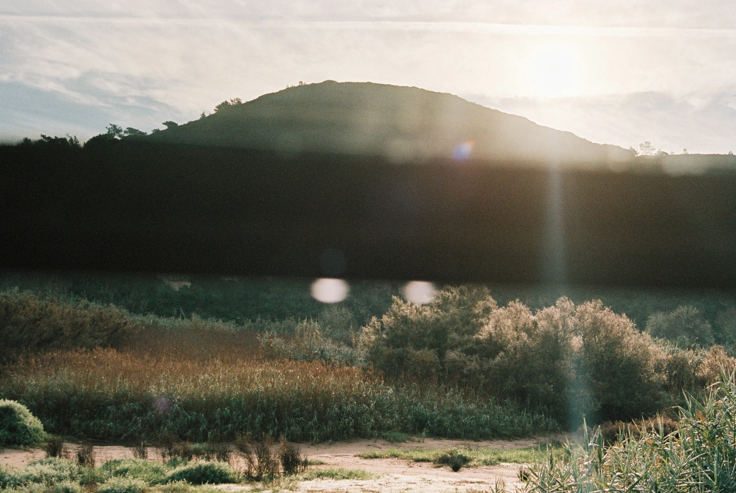 Carole Fievetz-7.jpg