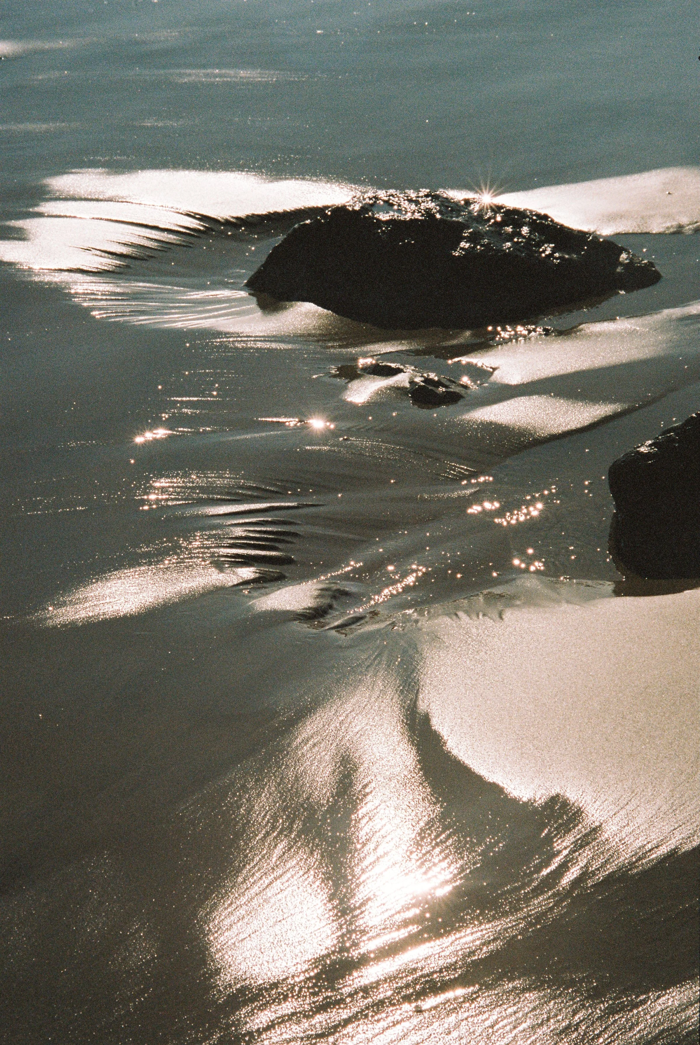 Carole Fievetz-24.jpg