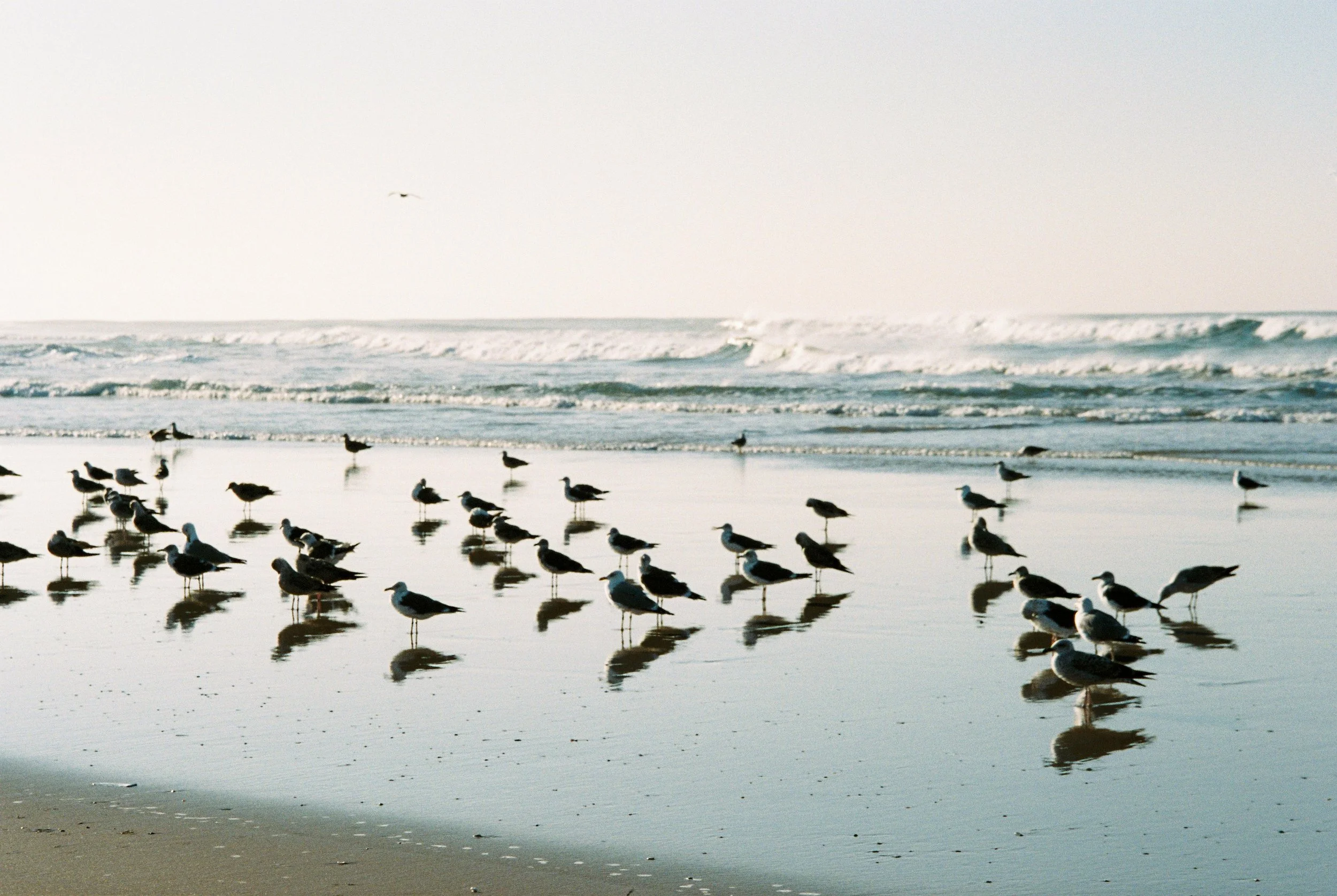 Carole Fievetz-15.jpg