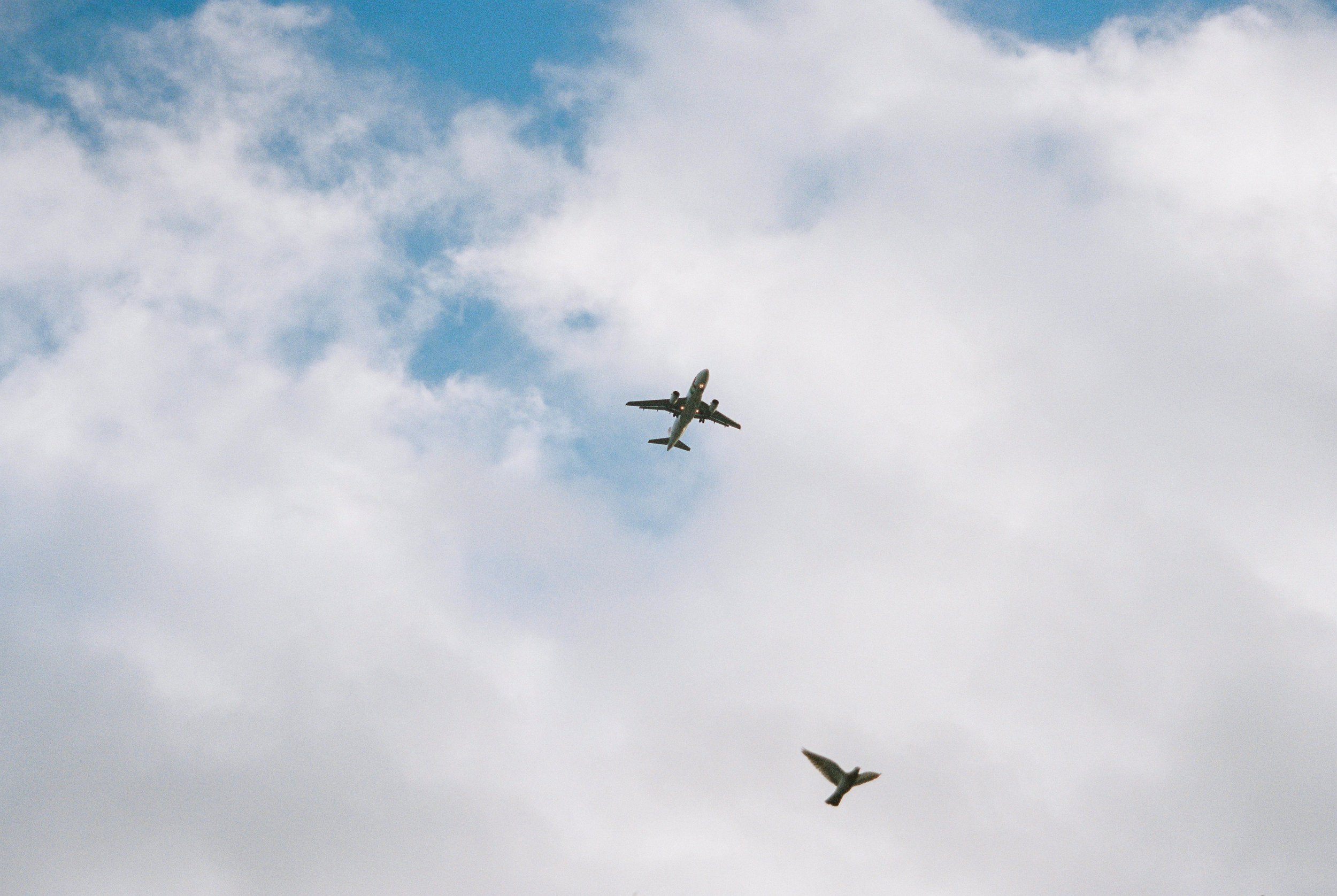 Carole Fievetz-31.JPG