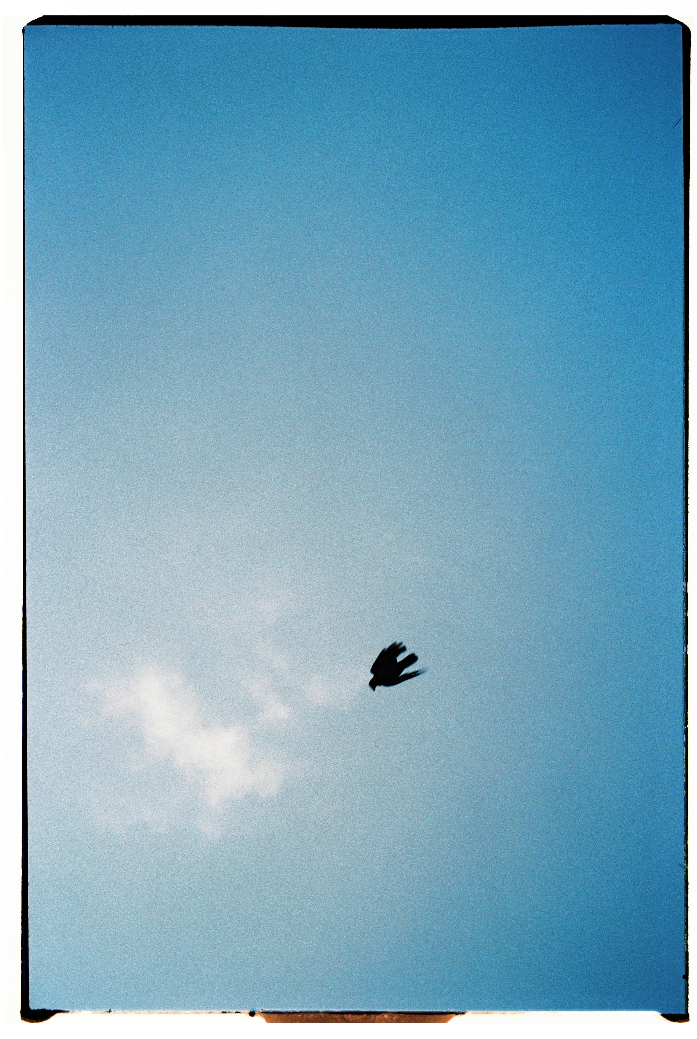 Carole Fievetz-23.jpg