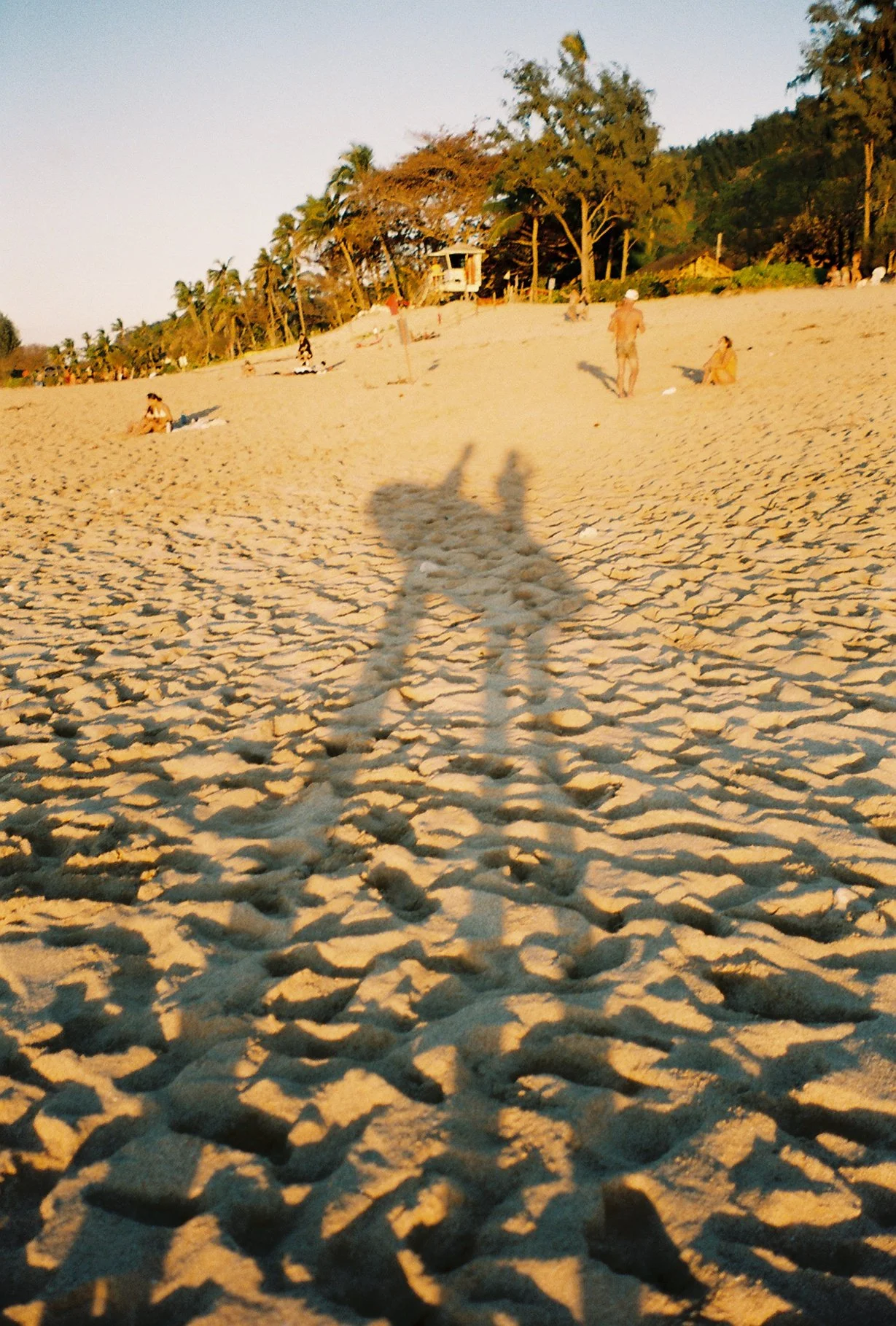 82359R1-R01-033 2.JPG