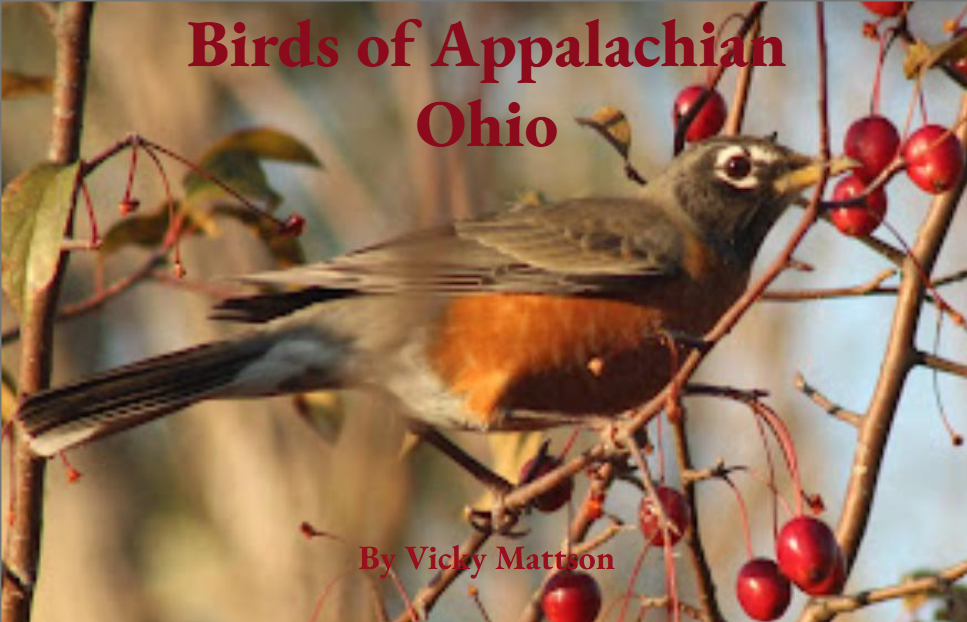 birds of appalachian ohio cover.png