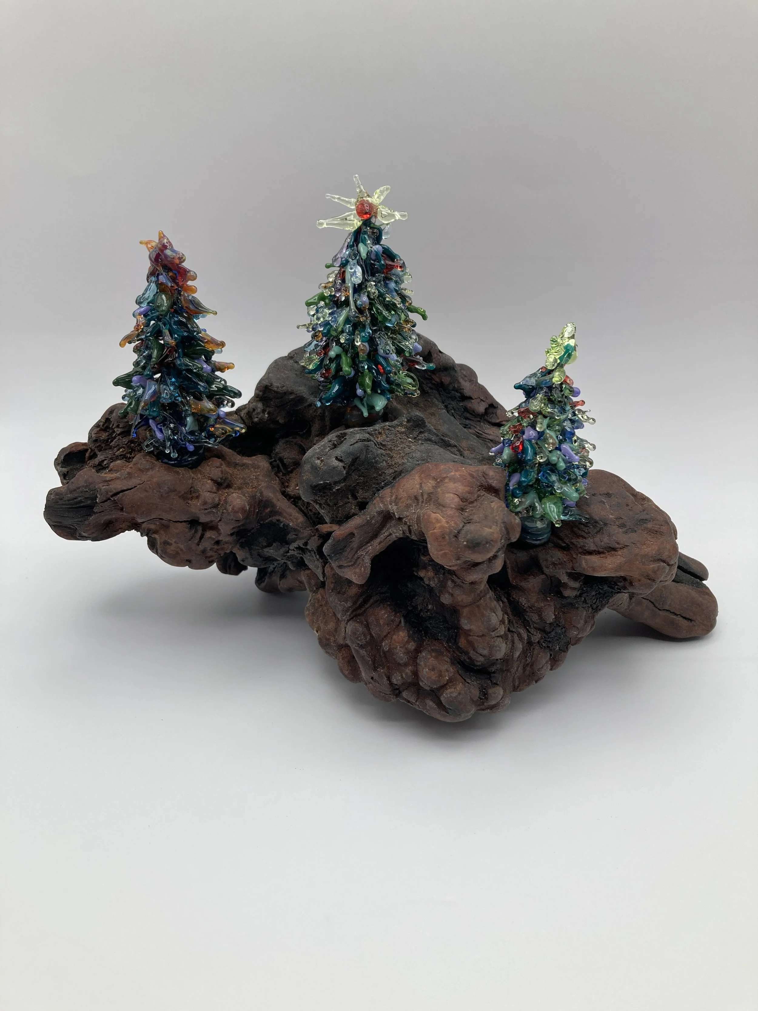 Three Trees on Burl #1