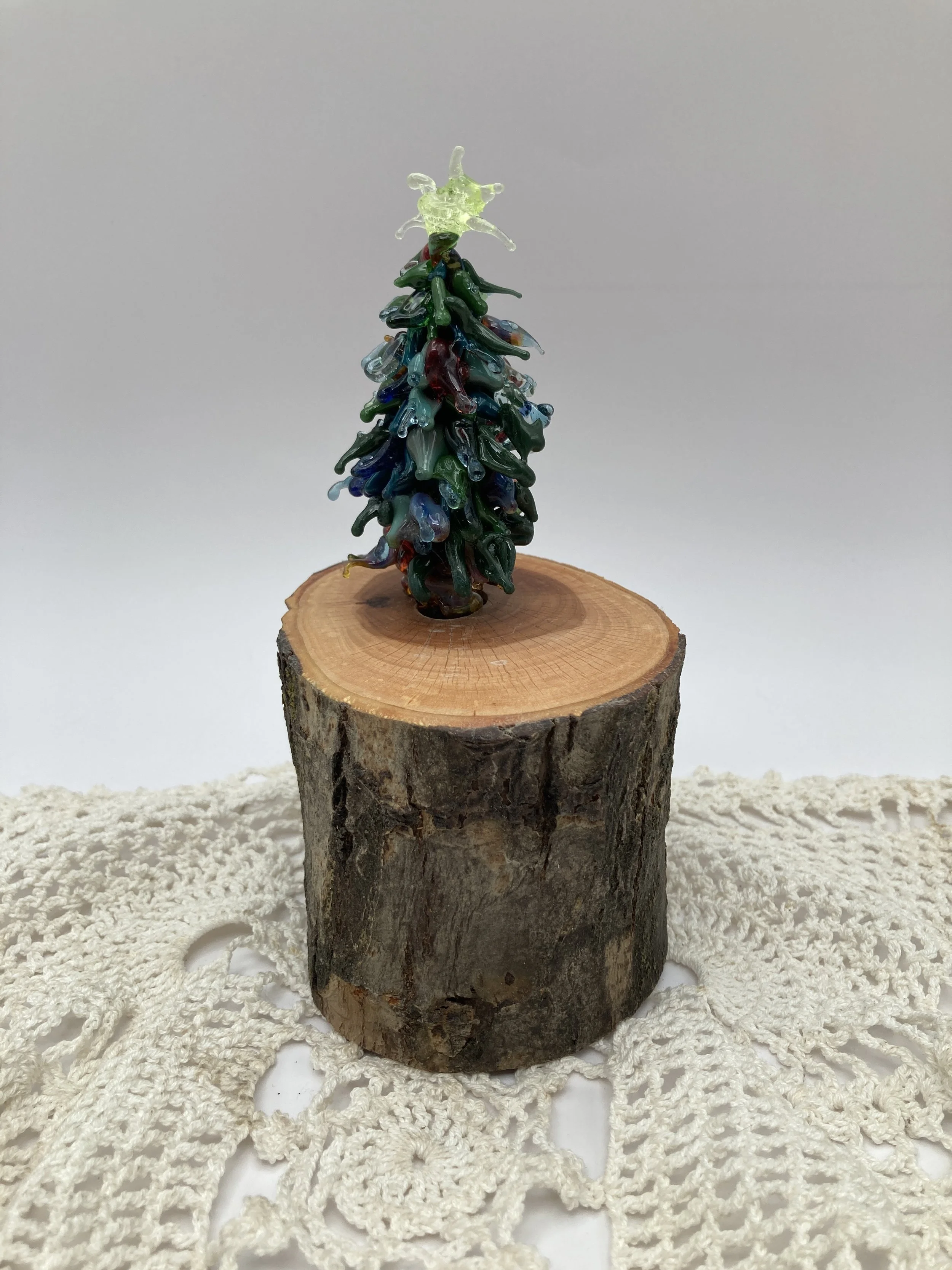 Fairy Star Evergreen Tree