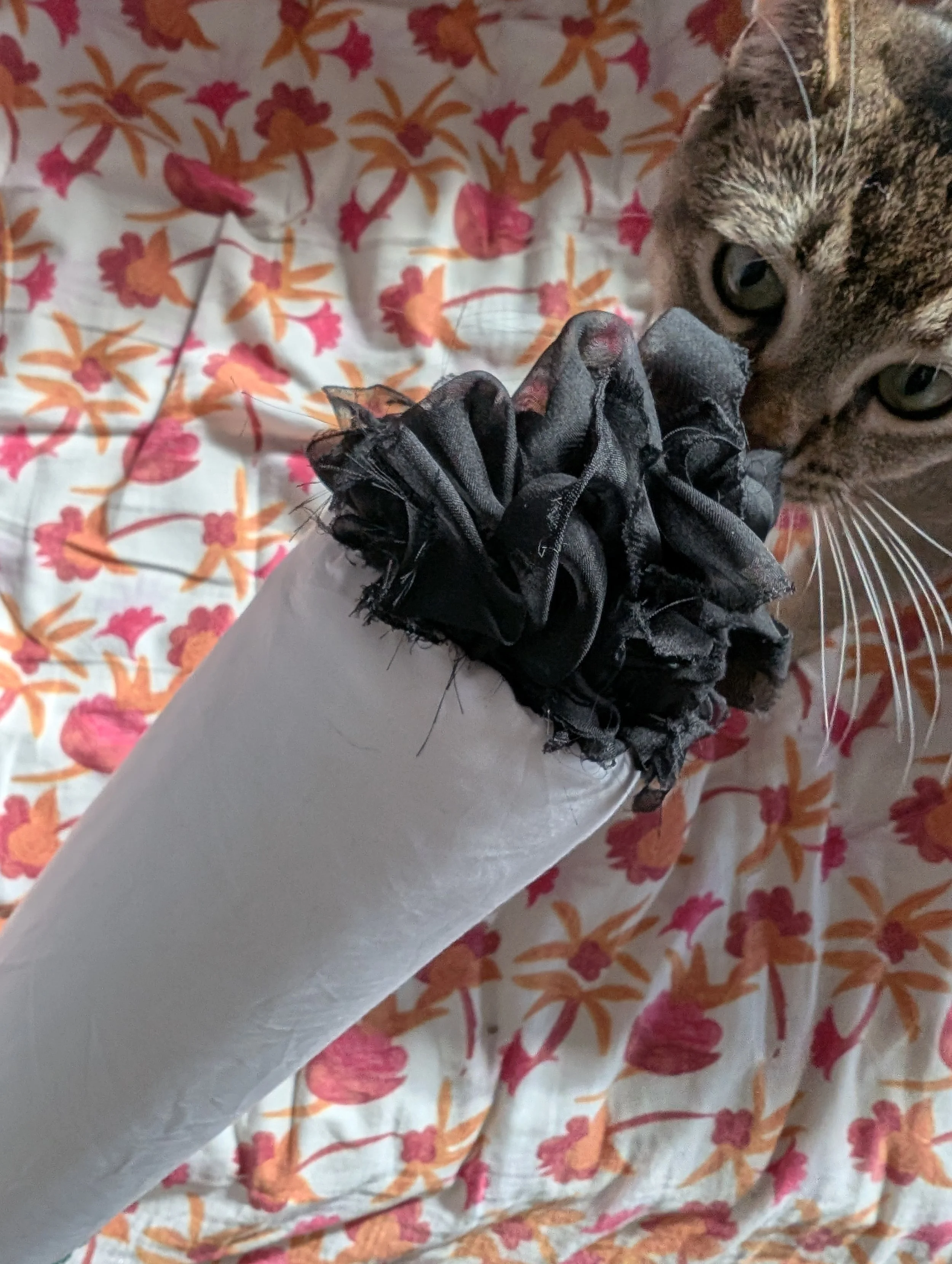 Menthol American Spirit Soft Sculpture by Holly Cromer