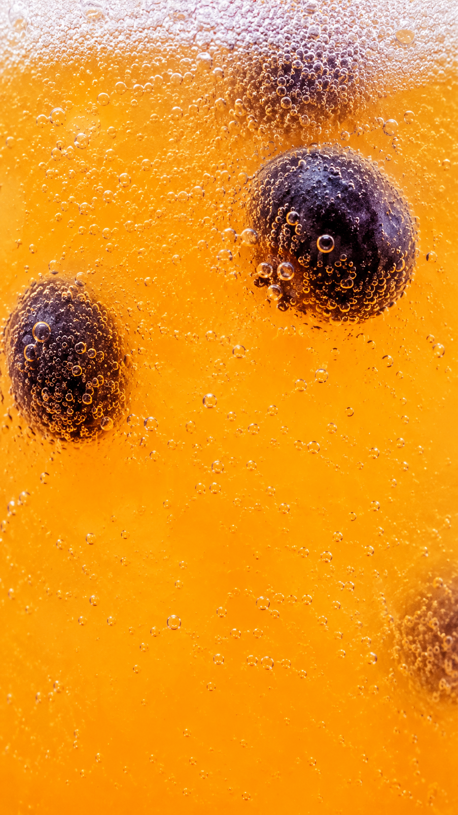mimosa closeup coffeetera