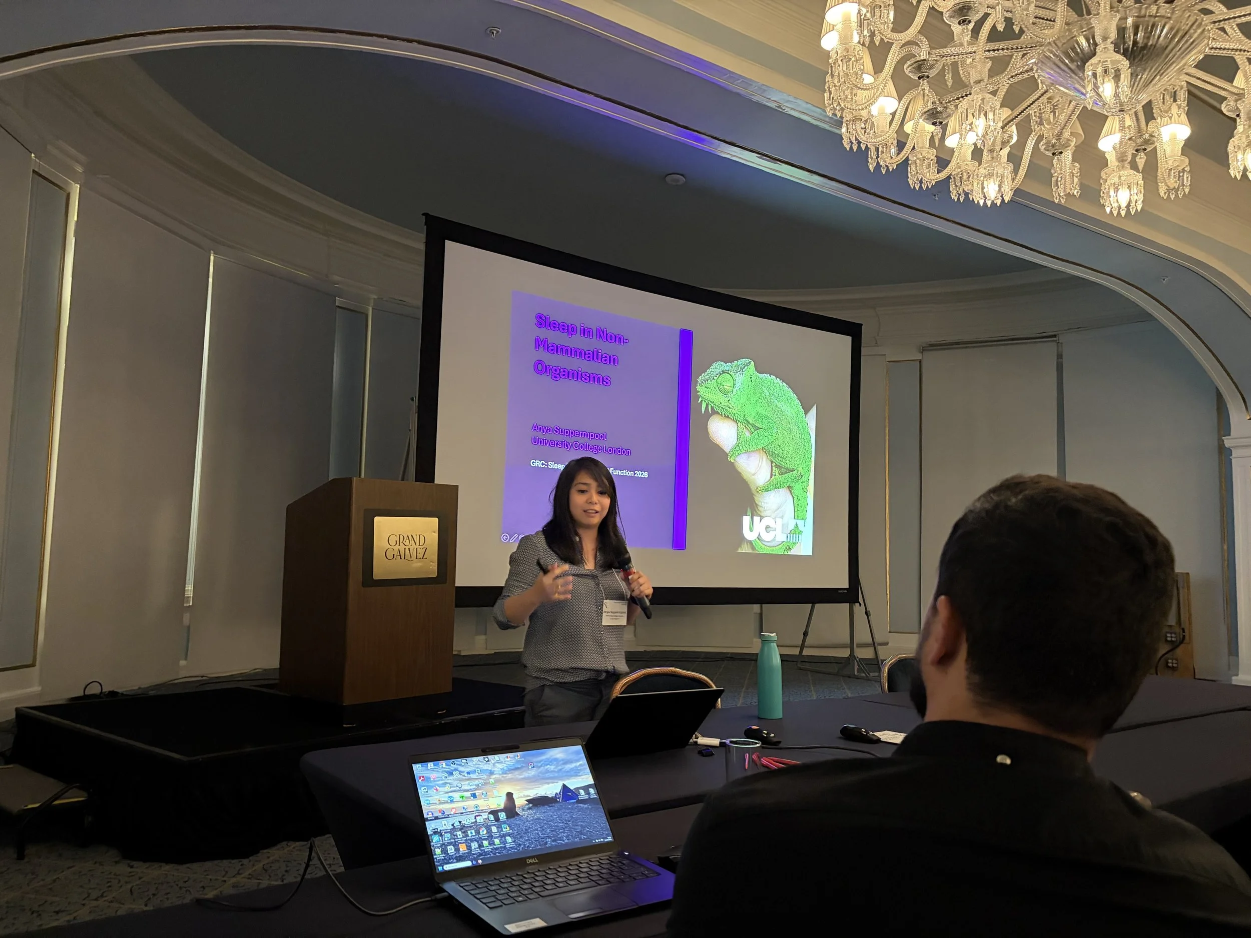 Anya chairs a session at GRC