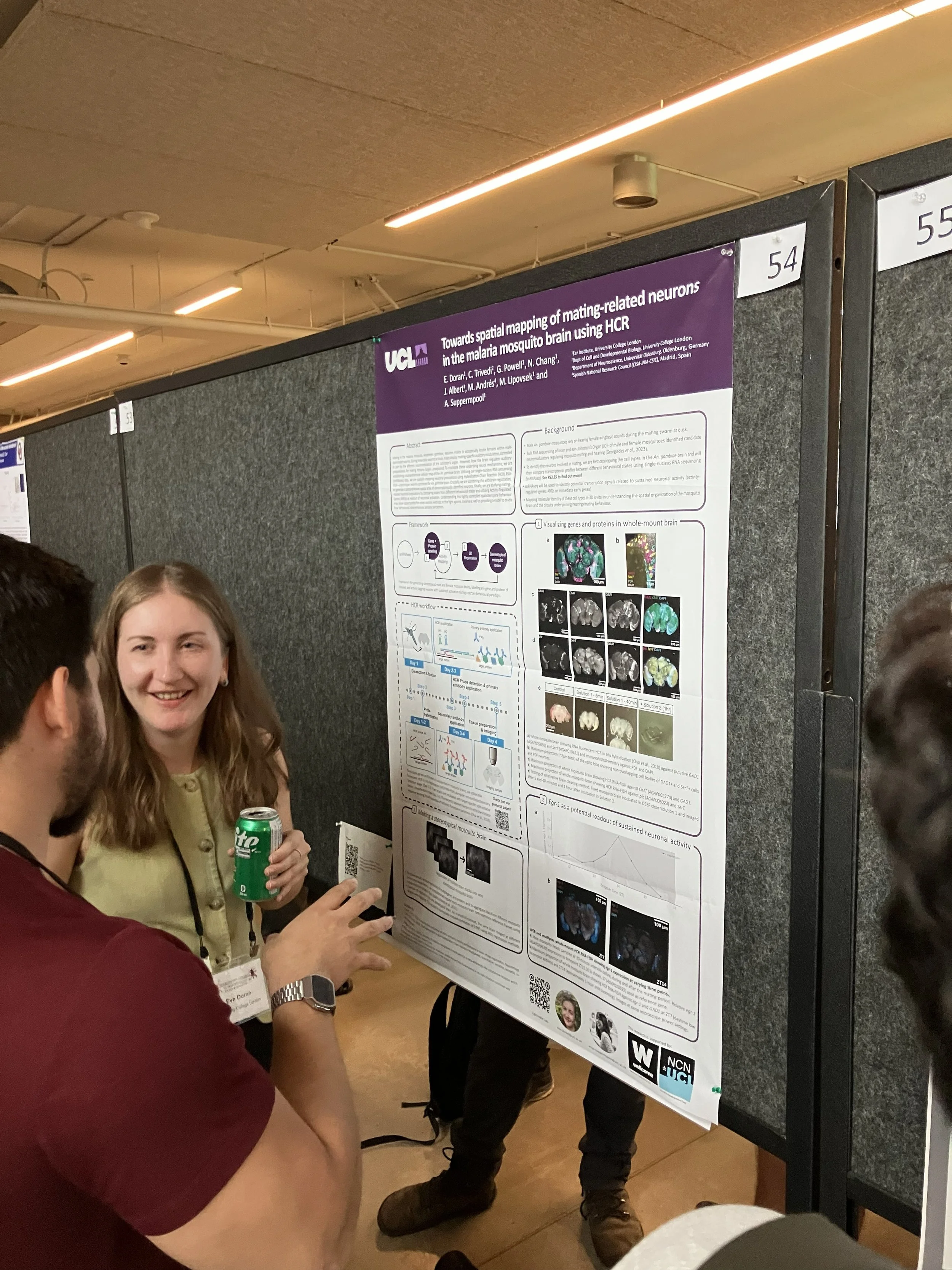 Eve and Anya presented at ICN 2026