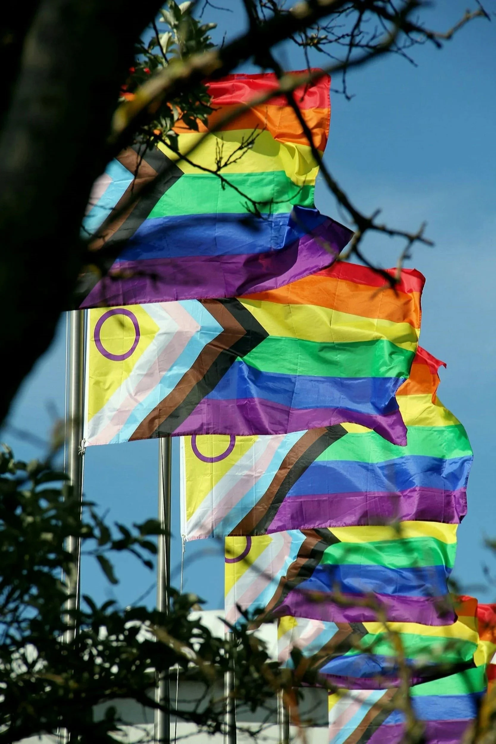 LGBTQ Flags