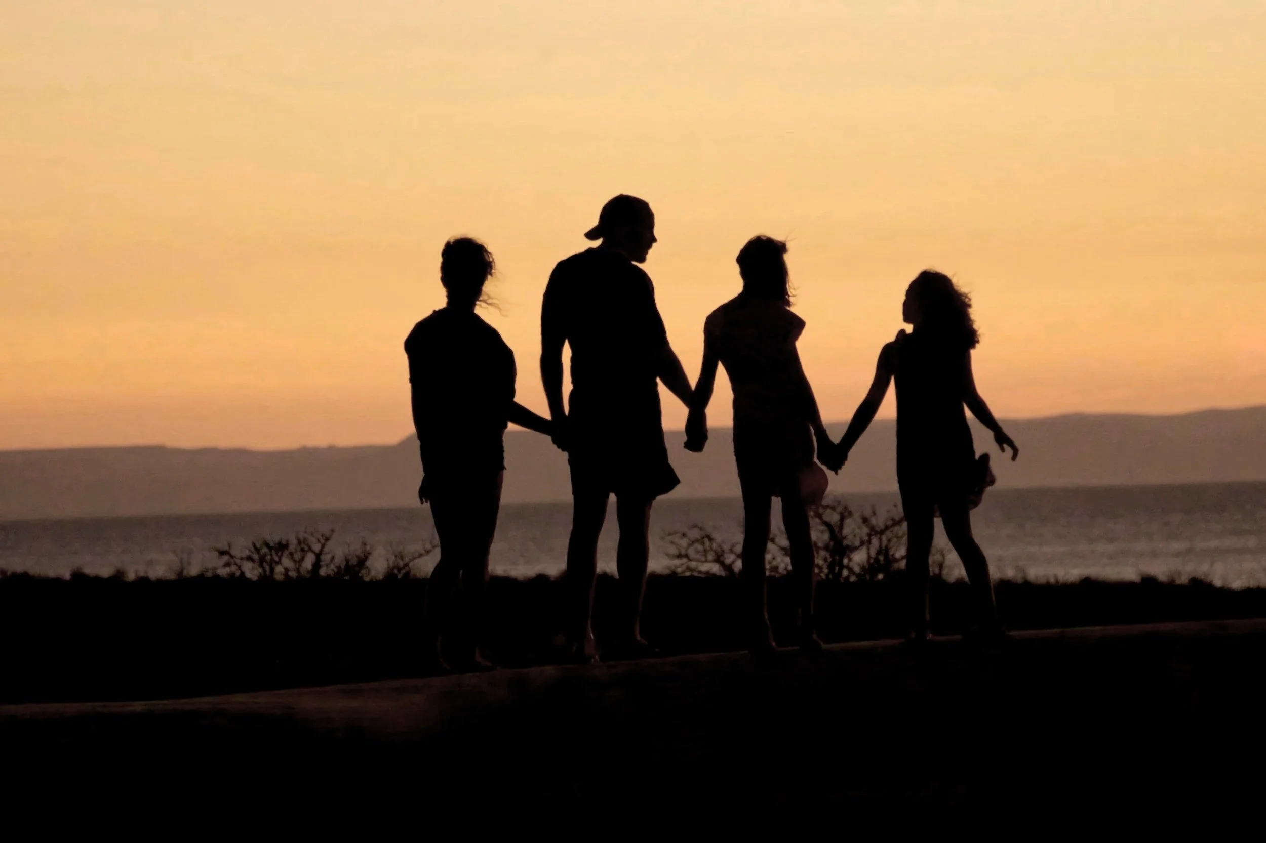 Picture of a family doing therapy