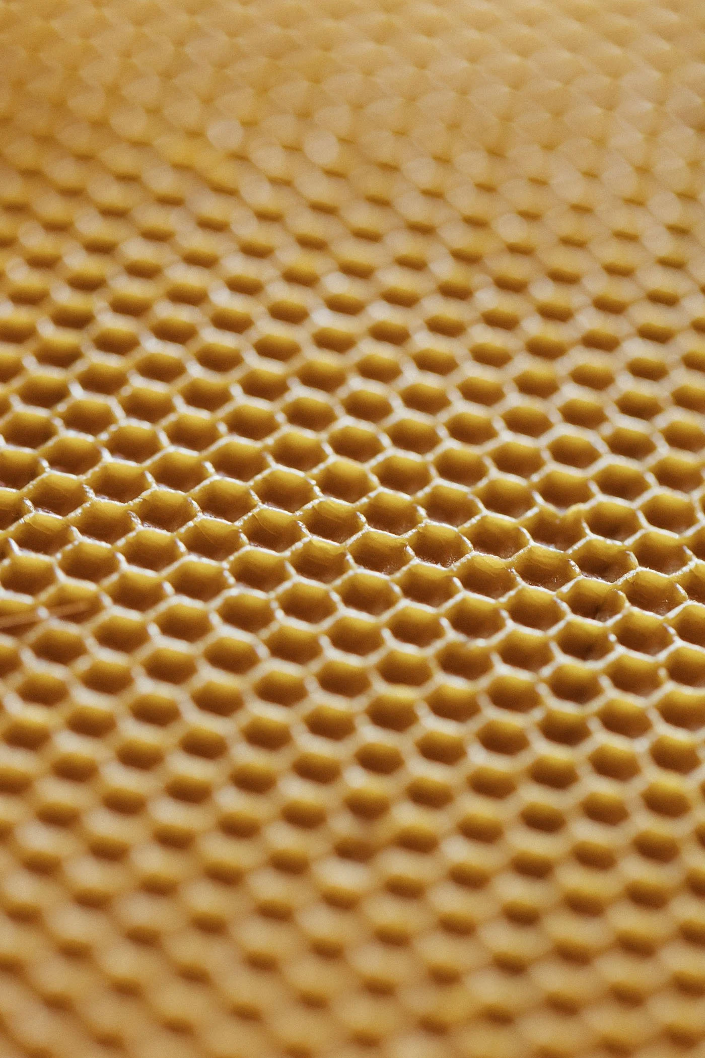 Texto en la imagen con una estructura de panal de abejas en color amarillo, con patrón hexagonal.