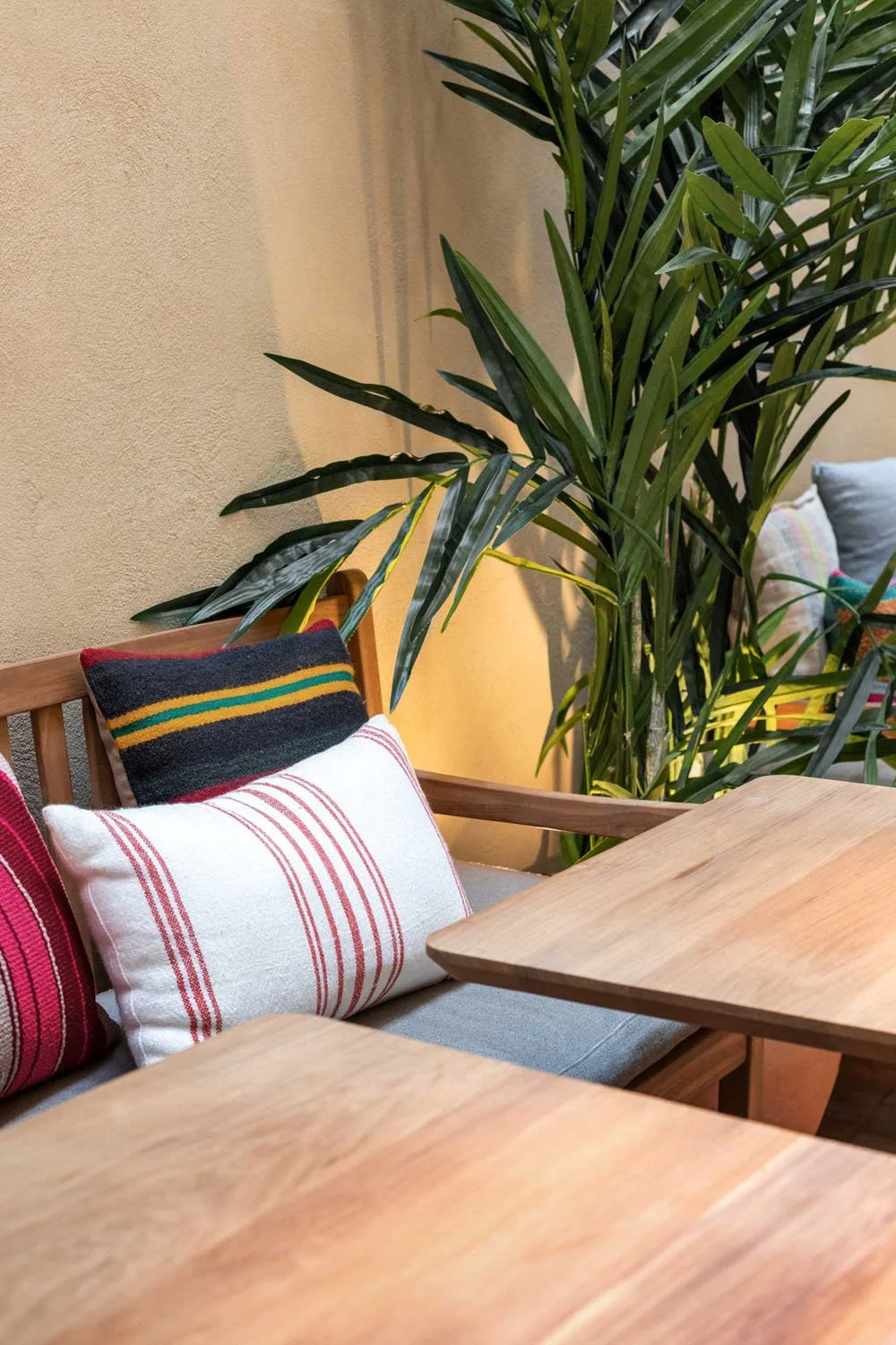 Sofá con cojines de diversos colores y patrones, y una planta grande junto a una pared beige en un ambiente interior cálido.