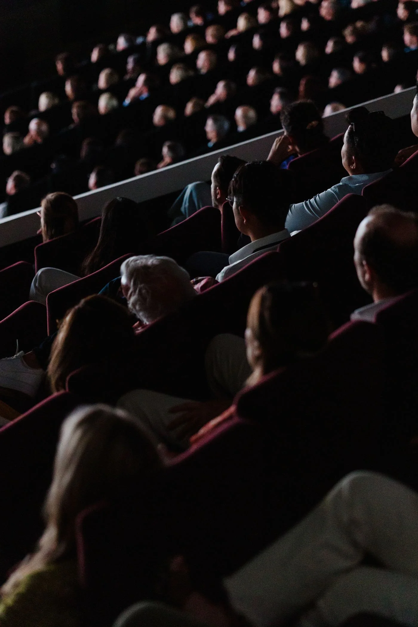 Personas viendo una película o presentación en un cine, con asientos tapizados en color burdeos y fondo oscuro.