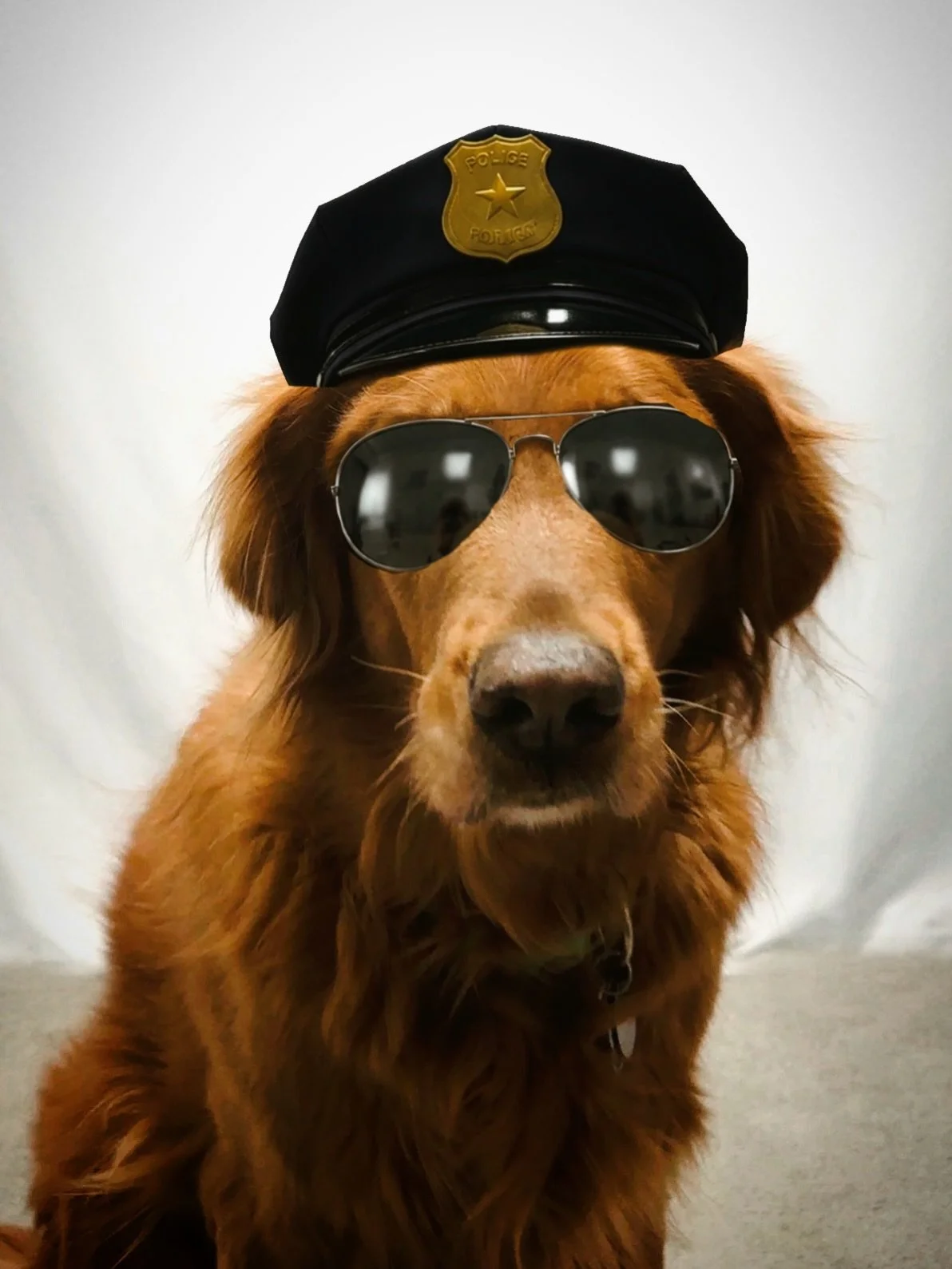 🚨 MEET OUR HANDLER 🚨
Name: McRuff
Occupation: Crime Dog 🐕
Known For: Not putting up with any B.S.
Quote: &ldquo;I don&rsquo;t do B.S.&rdquo;
Bio: McRuff the Crime Dog keeps the felons of Legal Limit in line by barking at them repeatedly and standi