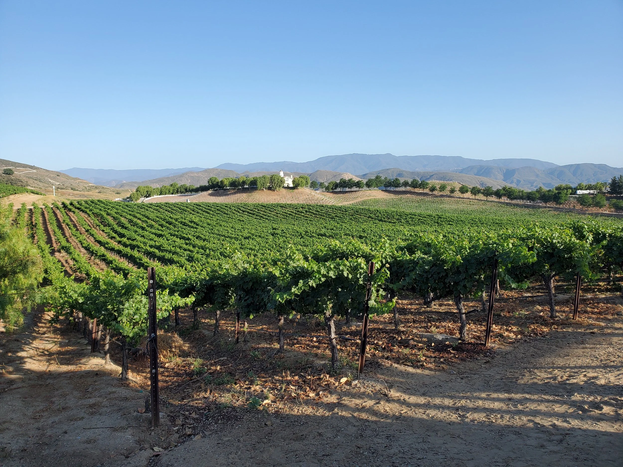 Experience Foxen Canyon - 50 Miles