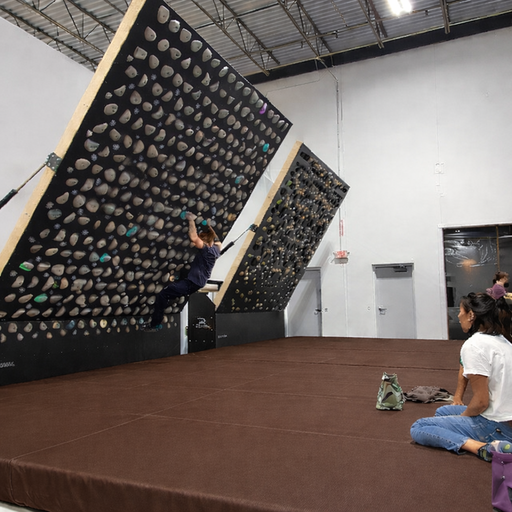 standard_gym wall mats_500x500darkbrown.png