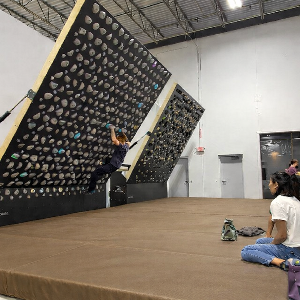 standard_gym wall mats_500x500coyote.png