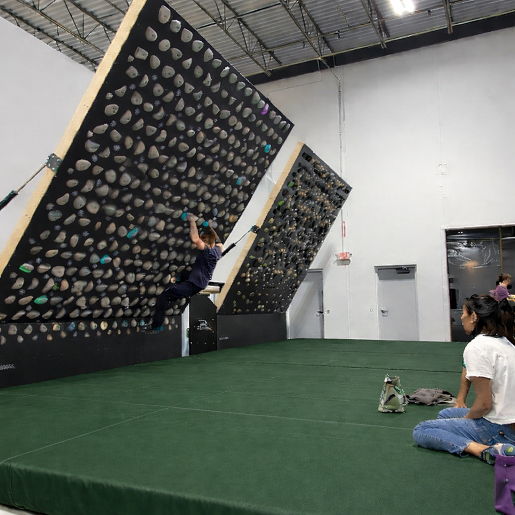 standard_gym wall mats_500x500forestgreen.png