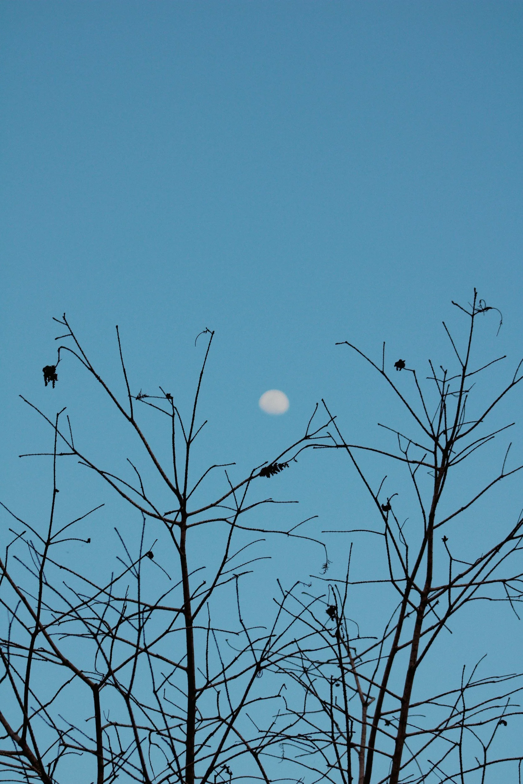 At the Confluence of Releasing &amp; Receiving