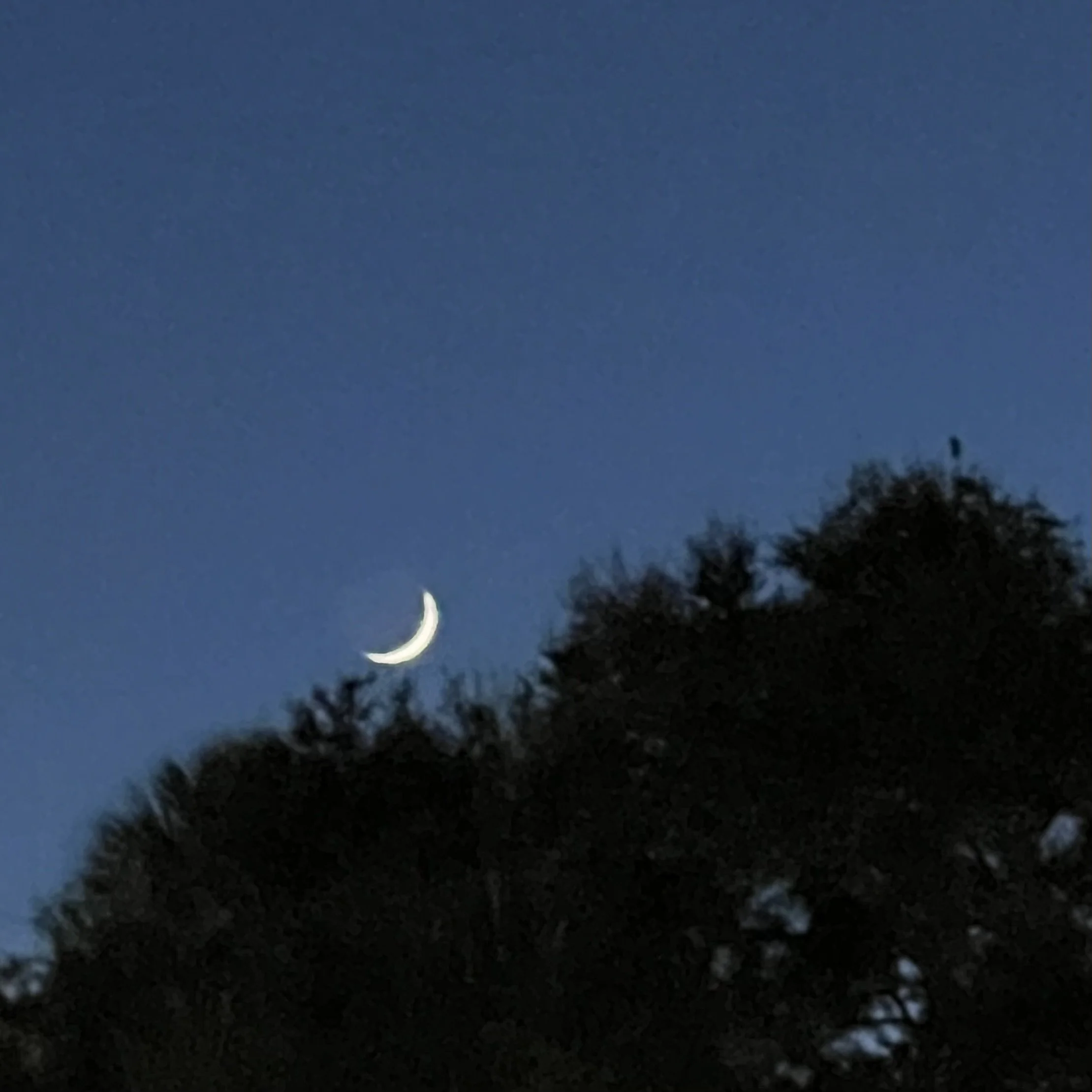 Welcoming a New Moonth ~ Rosh Chodesh Cheshvan