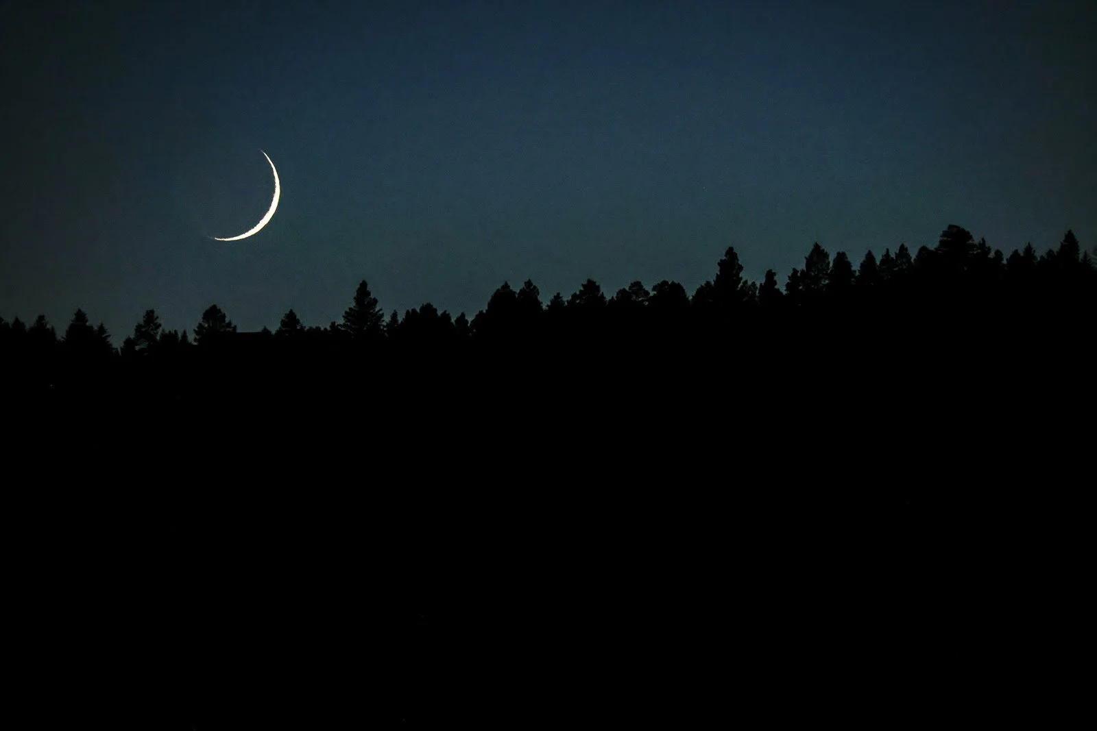 Welcoming a New Moonth ~ Rosh Chodesh Kislev