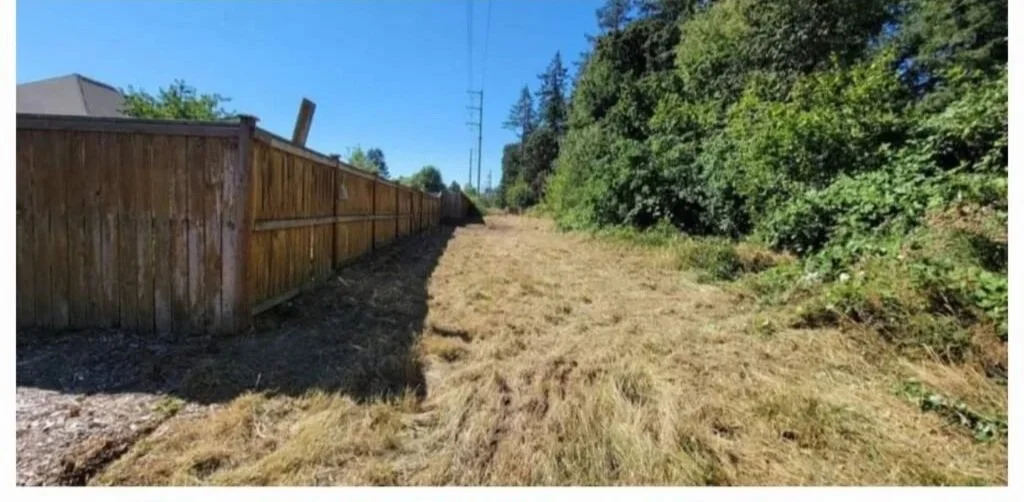 A cleared grassy area next to a wooden fence and dense green trees under a blue sky.