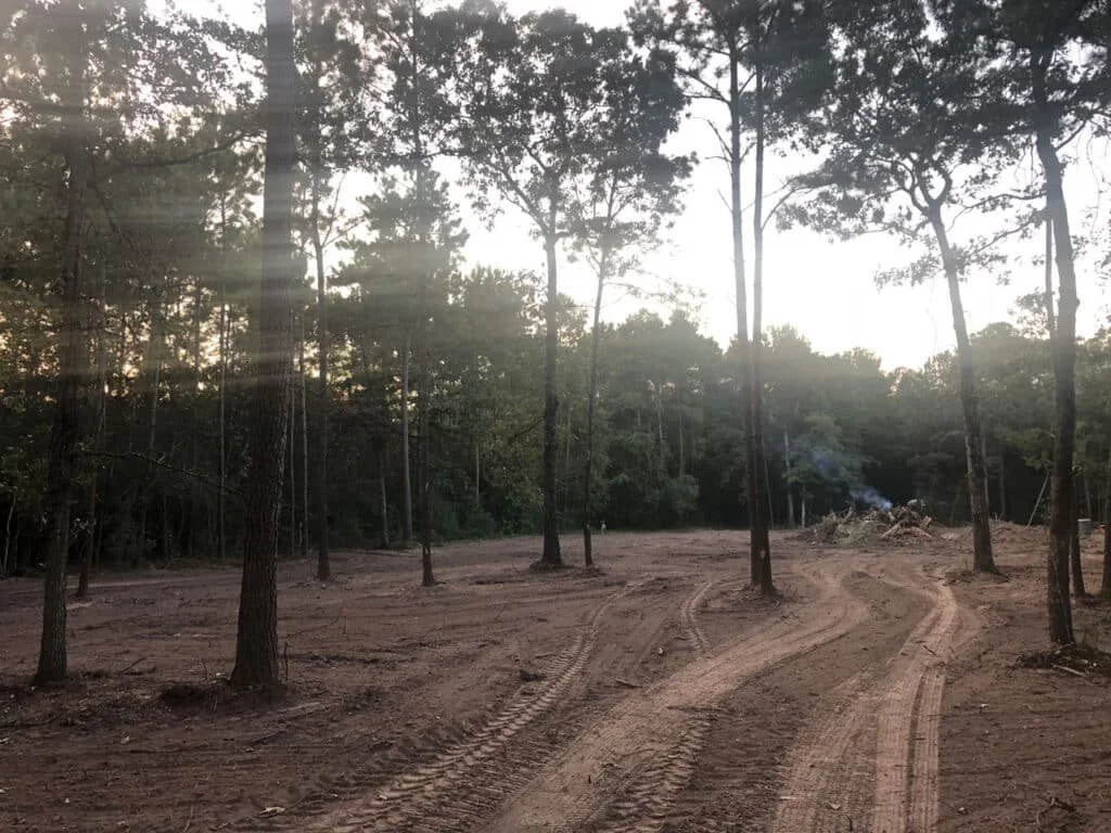 A forested area with dirt paths and tall trees, some smoke rising from a small pile of debris in the background.