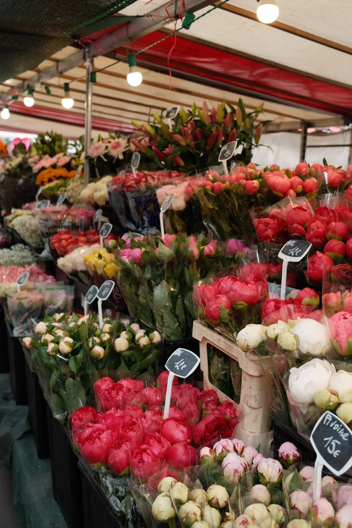Bouquets of tulips and other flowers displayed at an outdoor market stall under a tent with string lights.