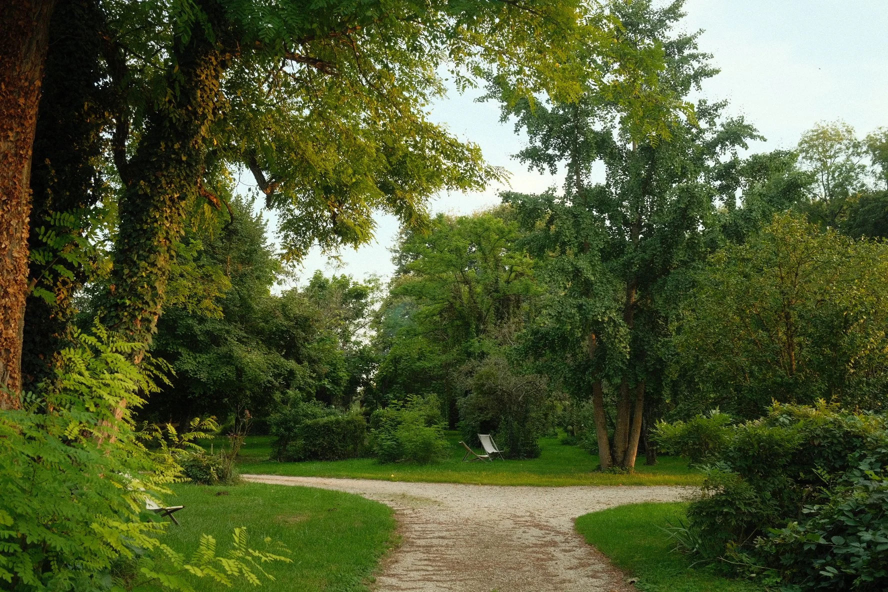 A peaceful park scene with a winding dirt path, green grass, and tall green trees on a clear day.