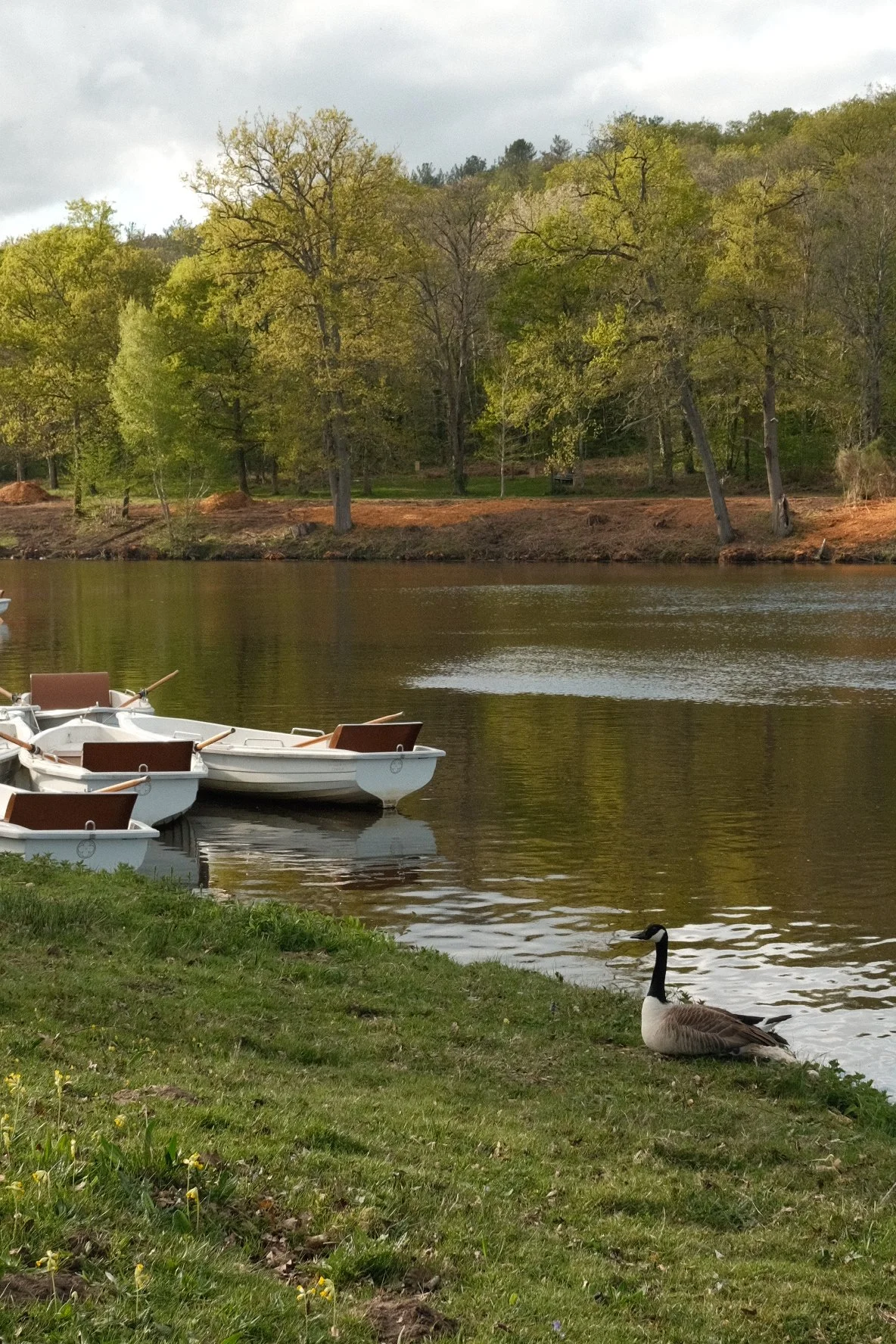 DSCF0219 2.JPG