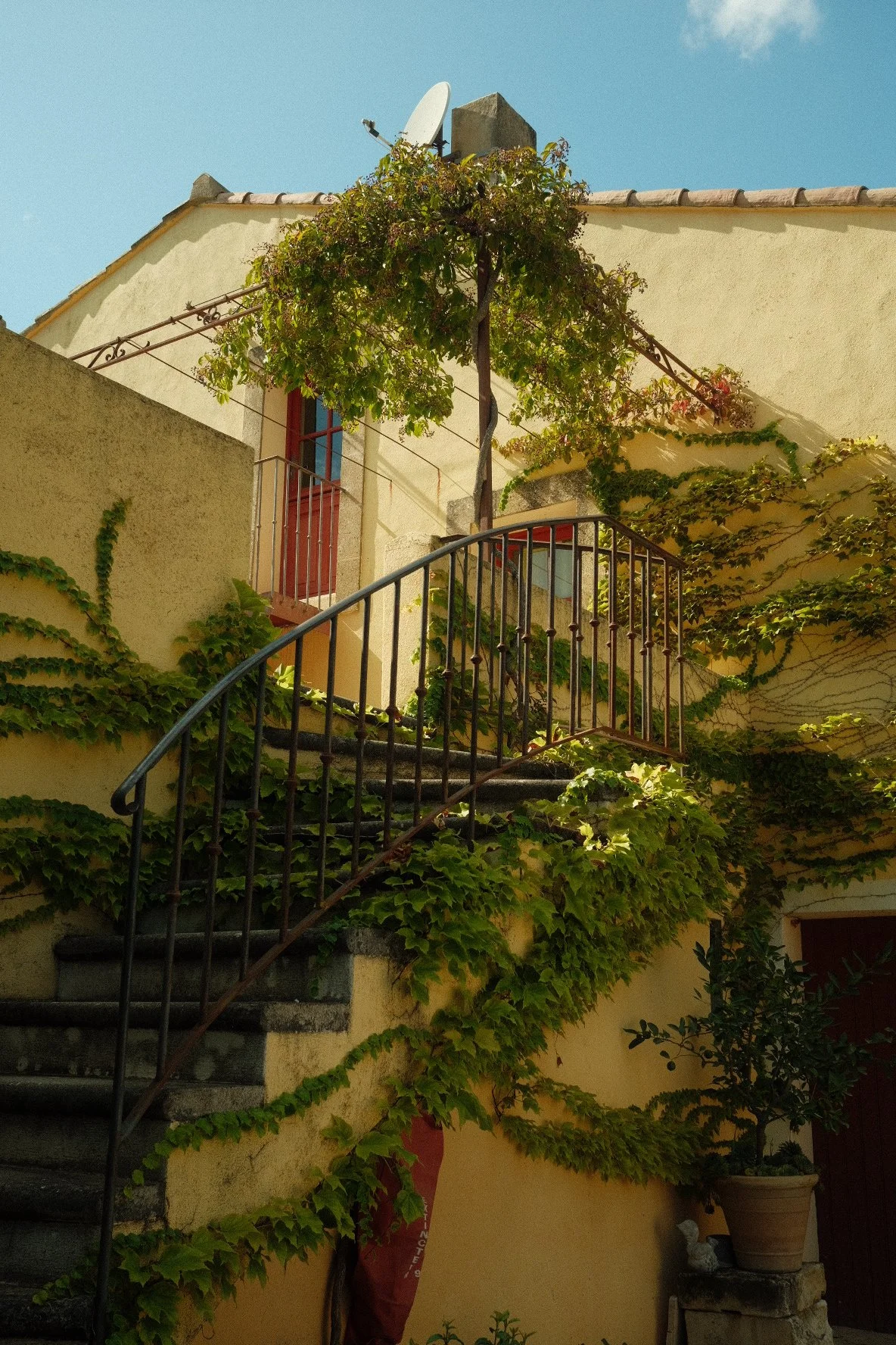A house with yellow walls, a stone staircase with a black metal railing, and lush green vines climbing the walls and staircase. There is a small balcony with a red door and a window, and a satellite dish mounted on the roof against a blue sky.