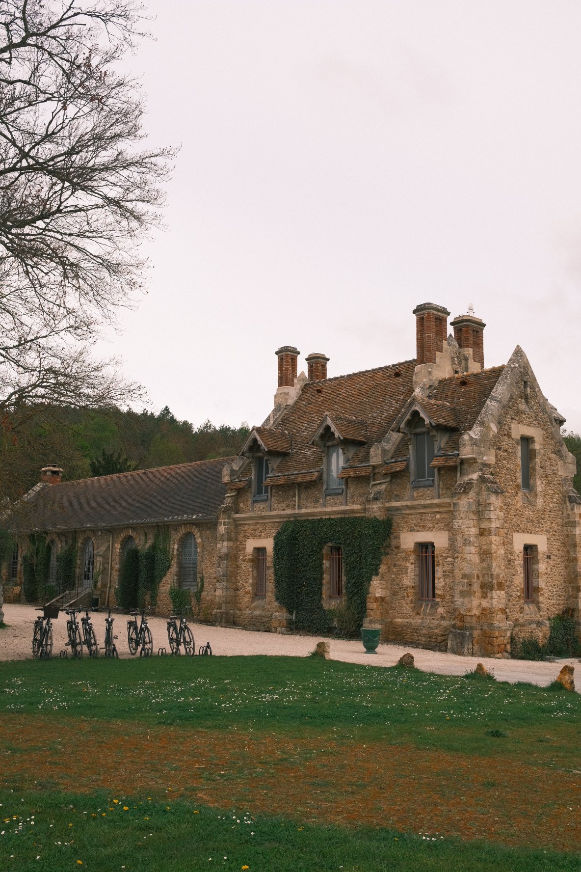DSCF0115 2.JPG