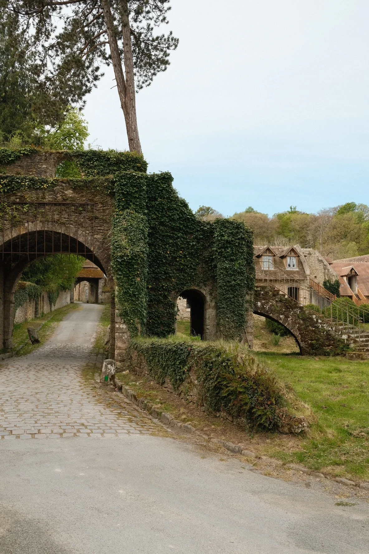 DSCF0241 2.JPG