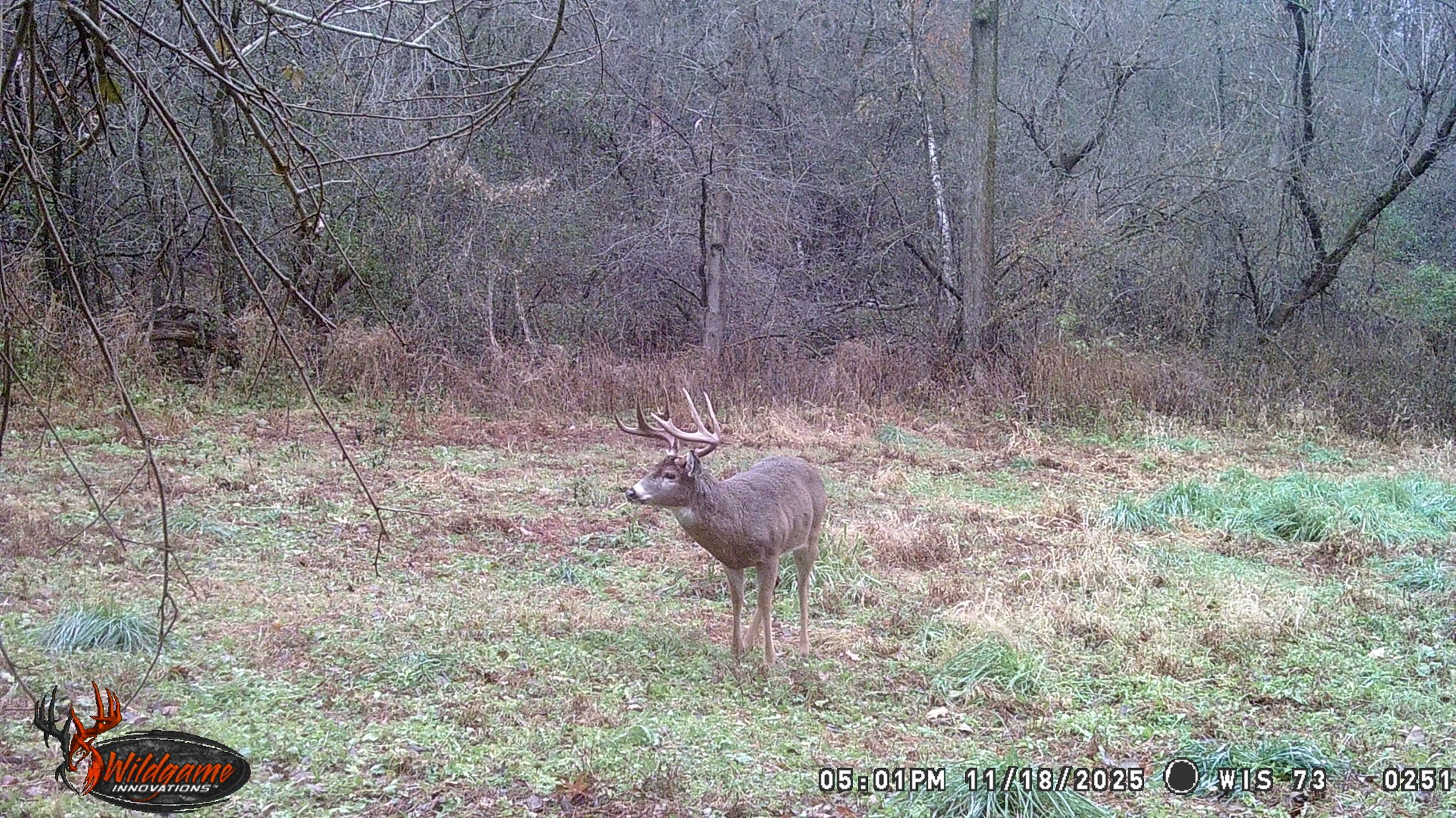 Trail Camera Surveys