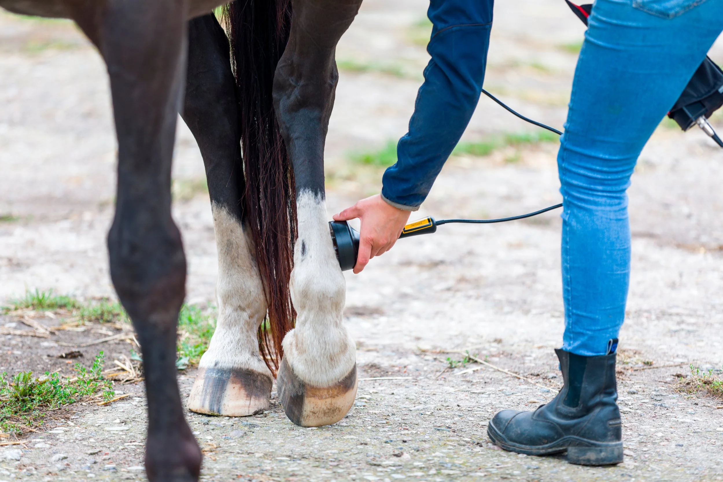 Person in blue jeans and black boots using an electronic hoof trimmer on a horse's hoof outdoors.