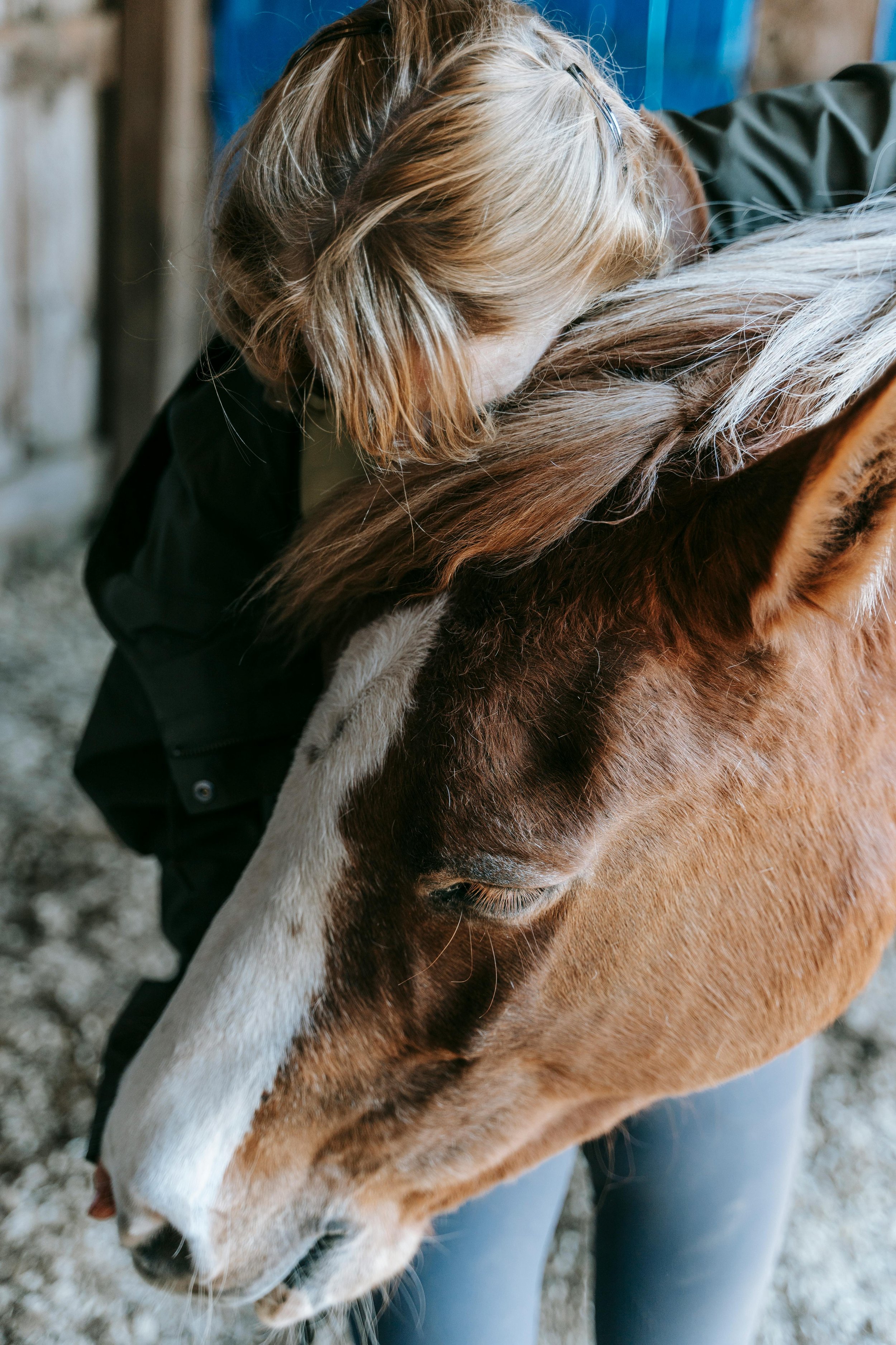 A person with blond hair leaning over a brown and white horse in a stable.