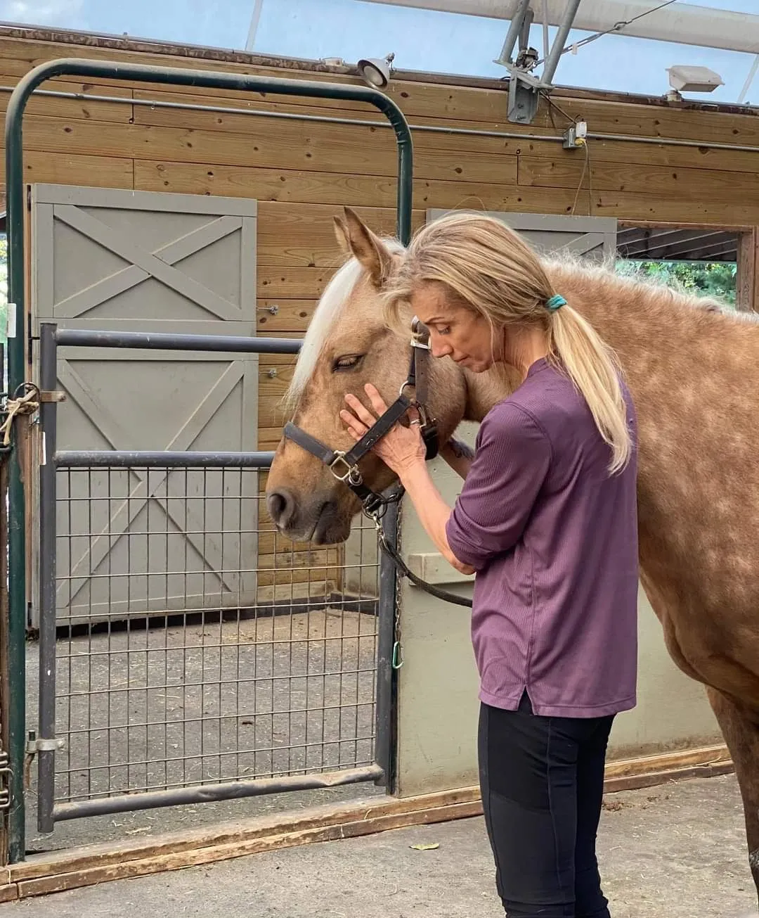 A woman wearing a purple shirt brushes a light brown horse in a stable.