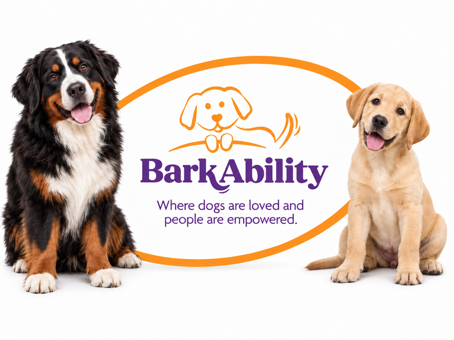 Barkability Logo & Branding